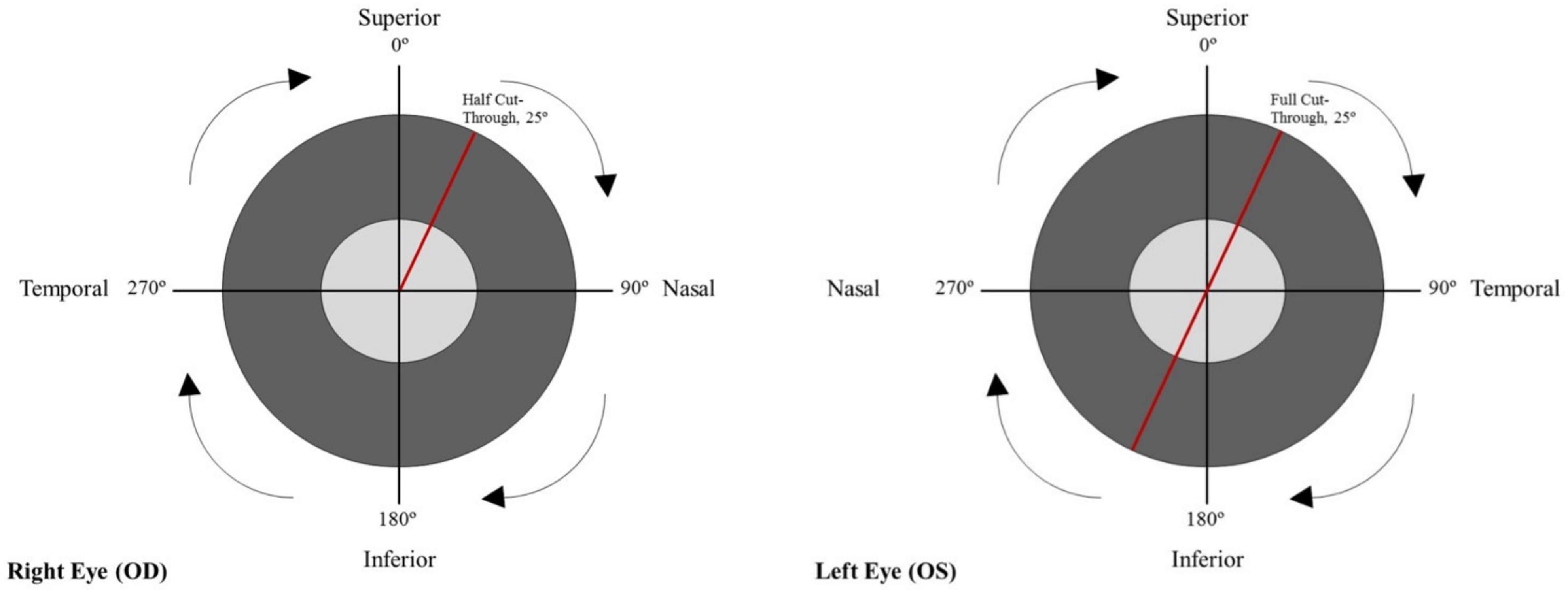 Genes 12 01961 g001 Genes 12 01961 g001