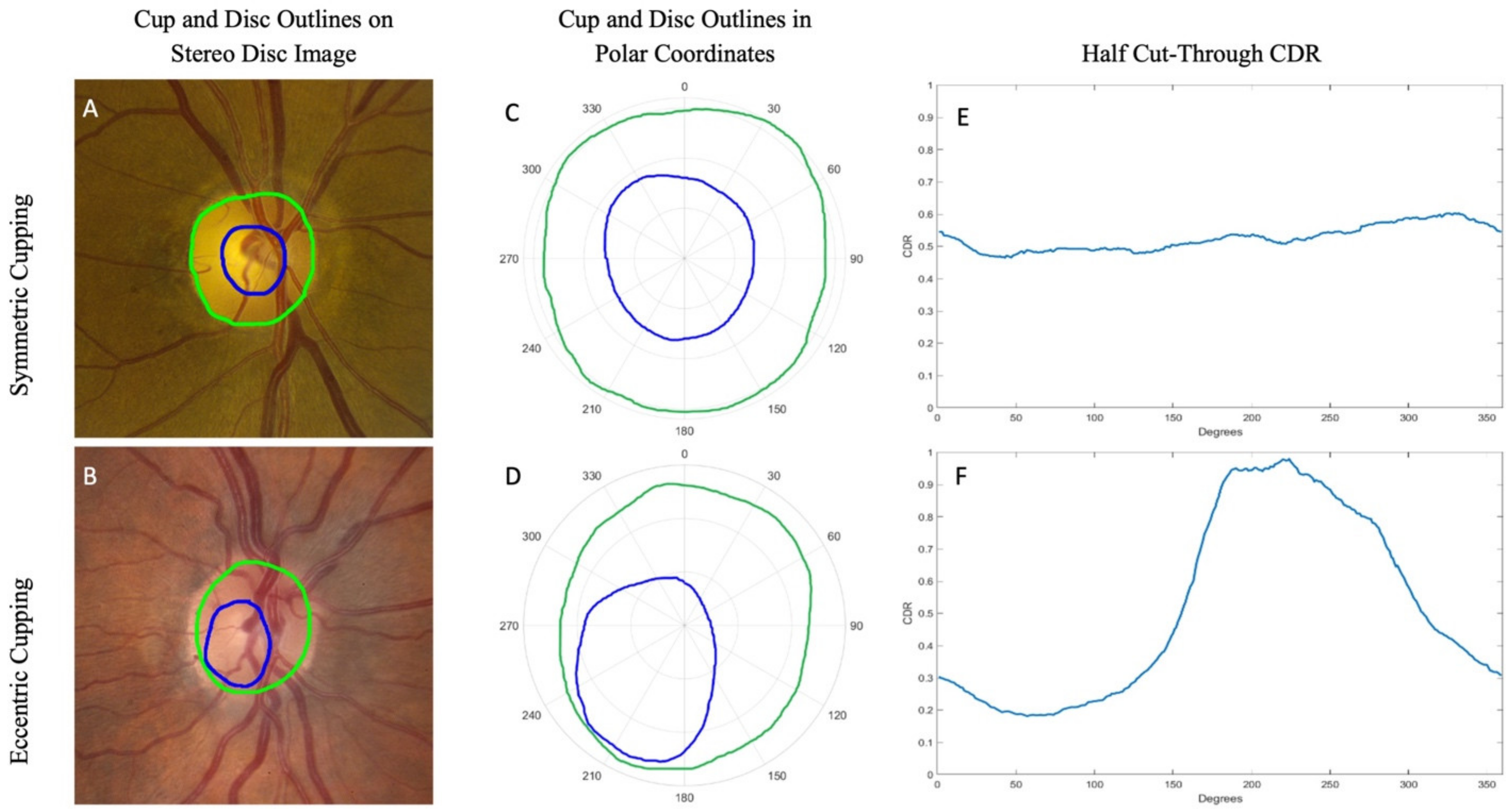 Genes 12 01961 g002 Genes 12 01961 g002