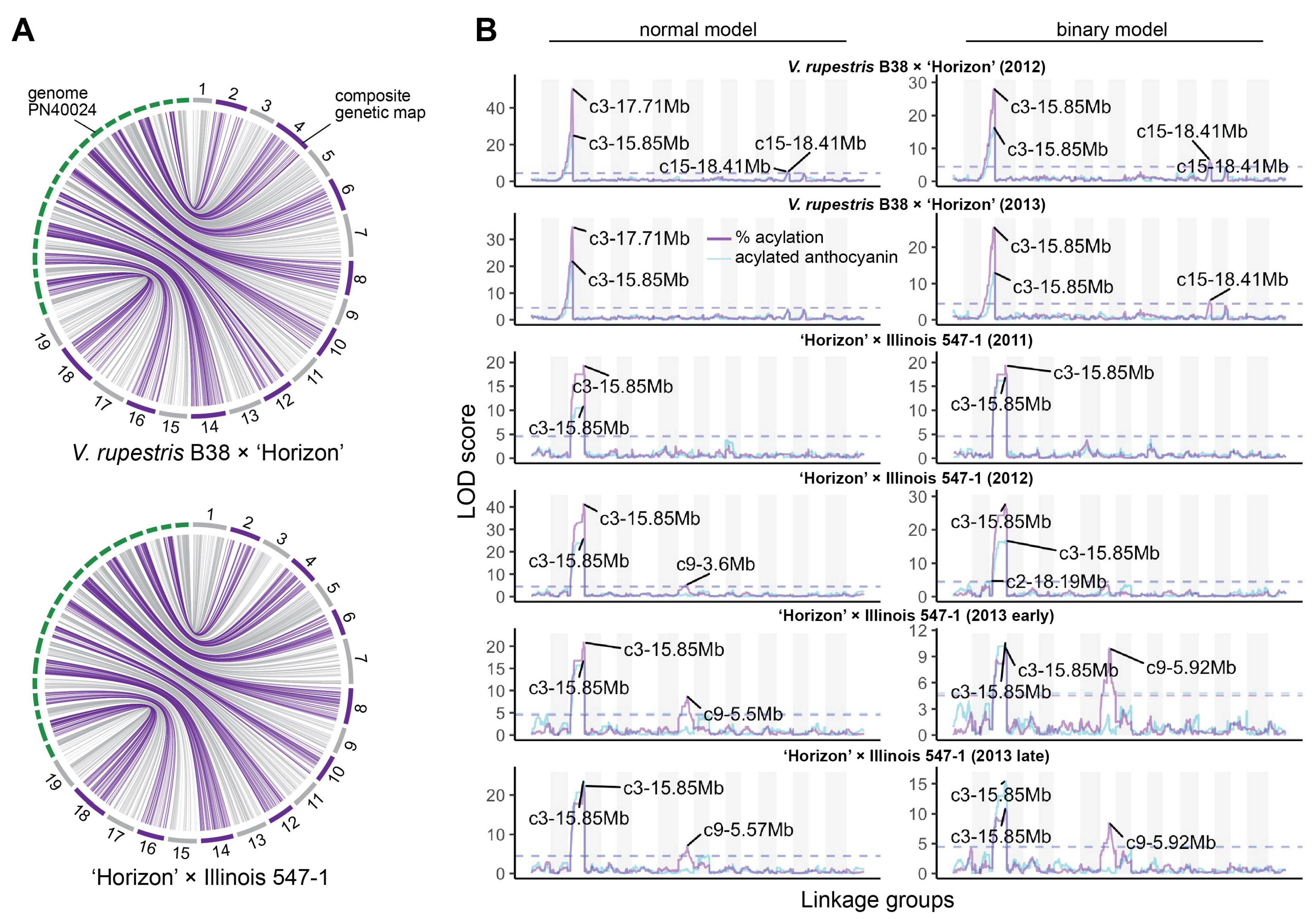 Genes 12 01962 g002