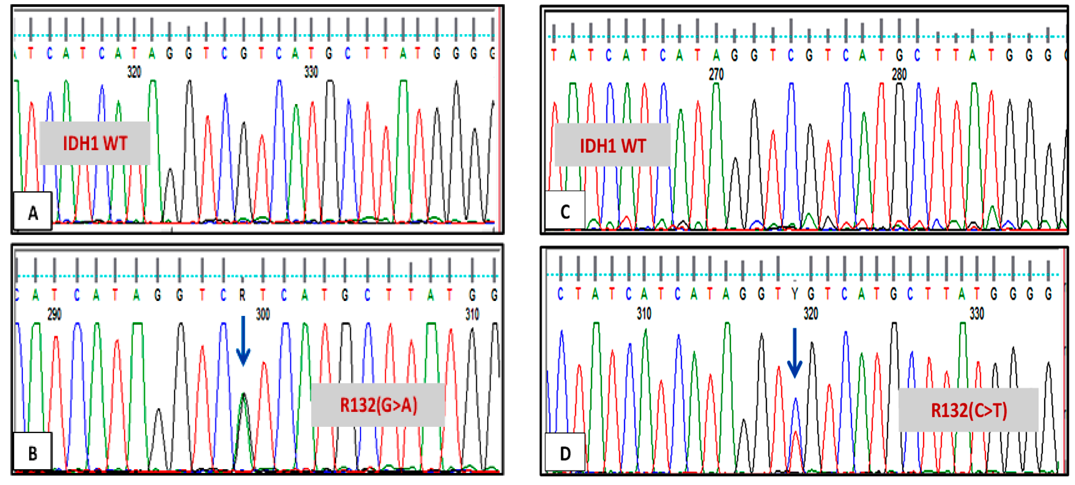 Genes 12 01963 g001