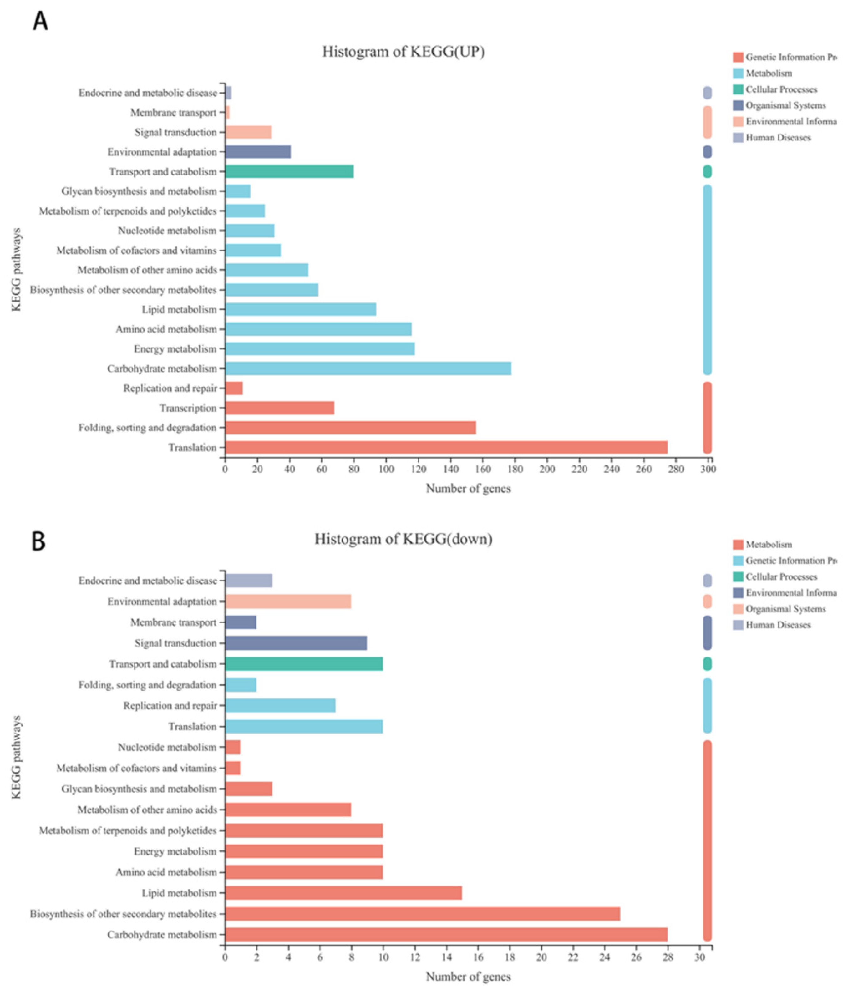 Genes 12 01967 g003 Genes 12 01967 g003