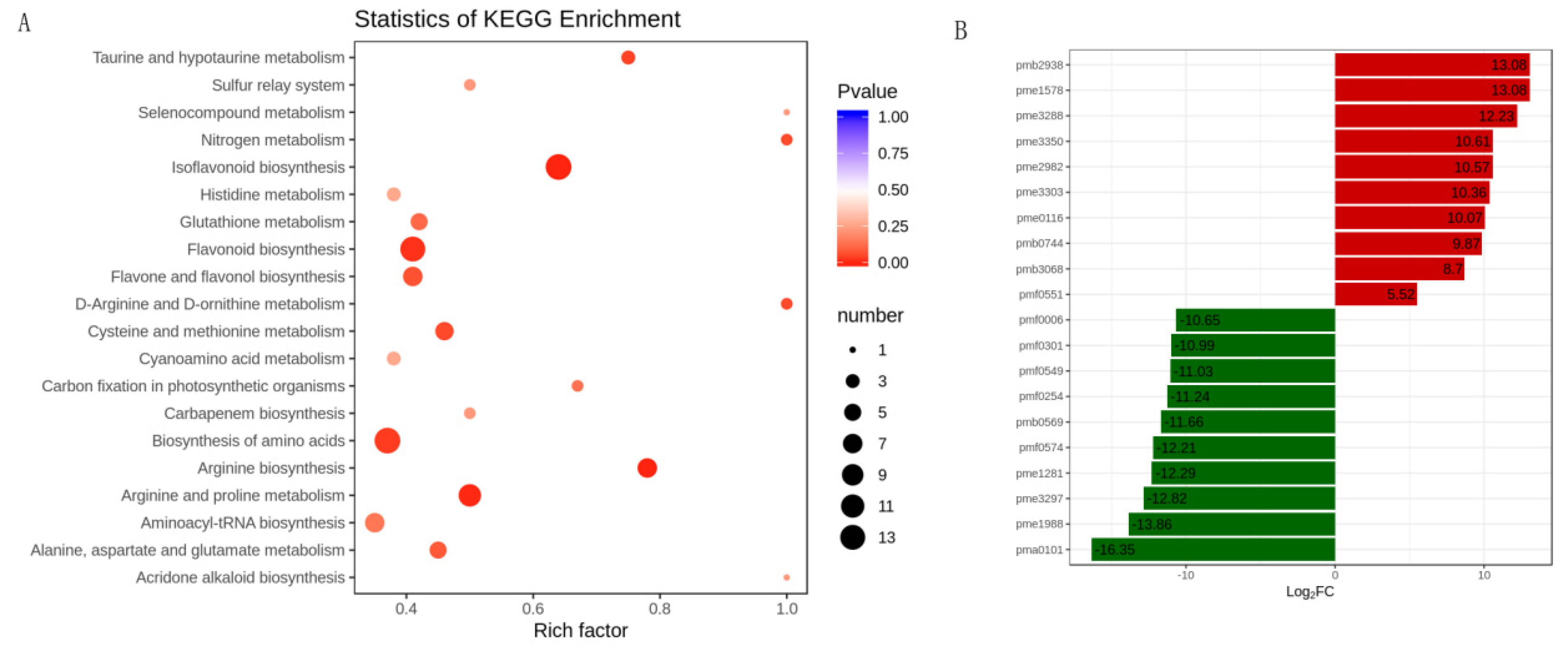 Genes 12 01967 g004 Genes 12 01967 g004