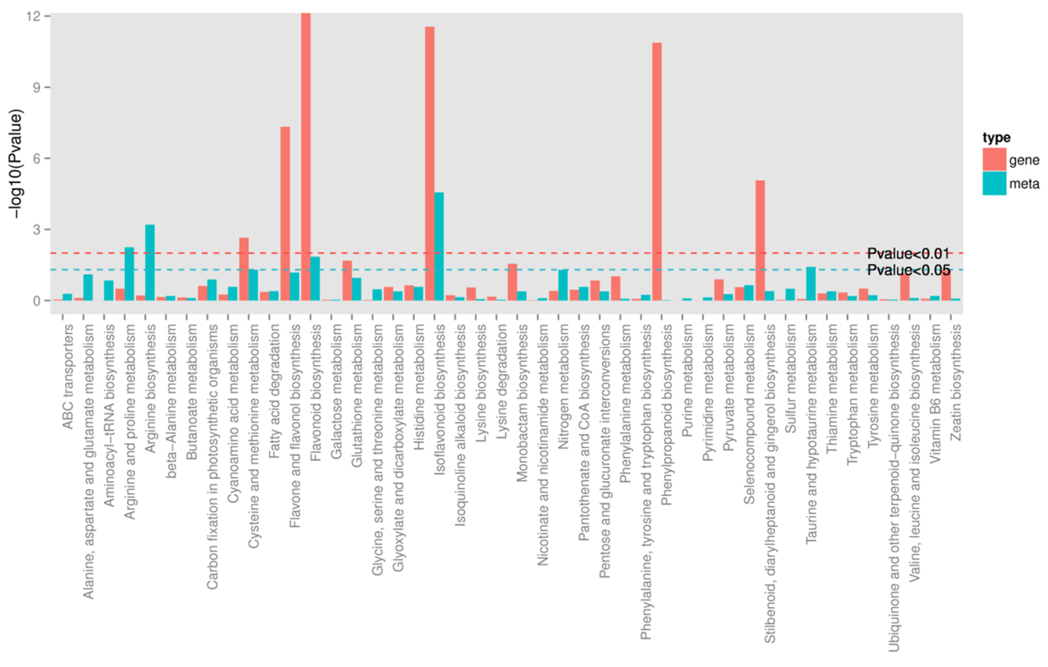 Genes 12 01967 g005 Genes 12 01967 g005