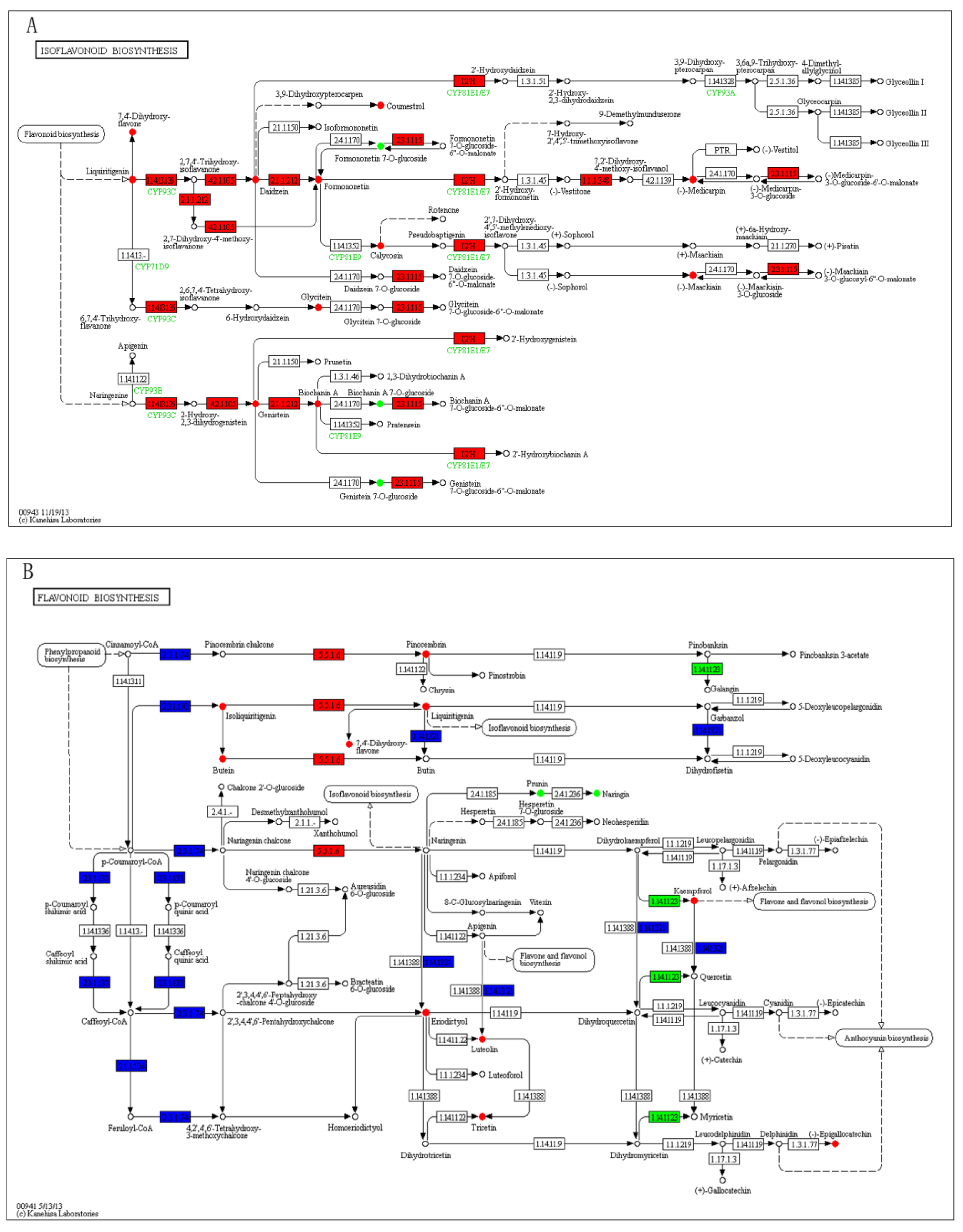 Genes 12 01967 g006 Genes 12 01967 g006