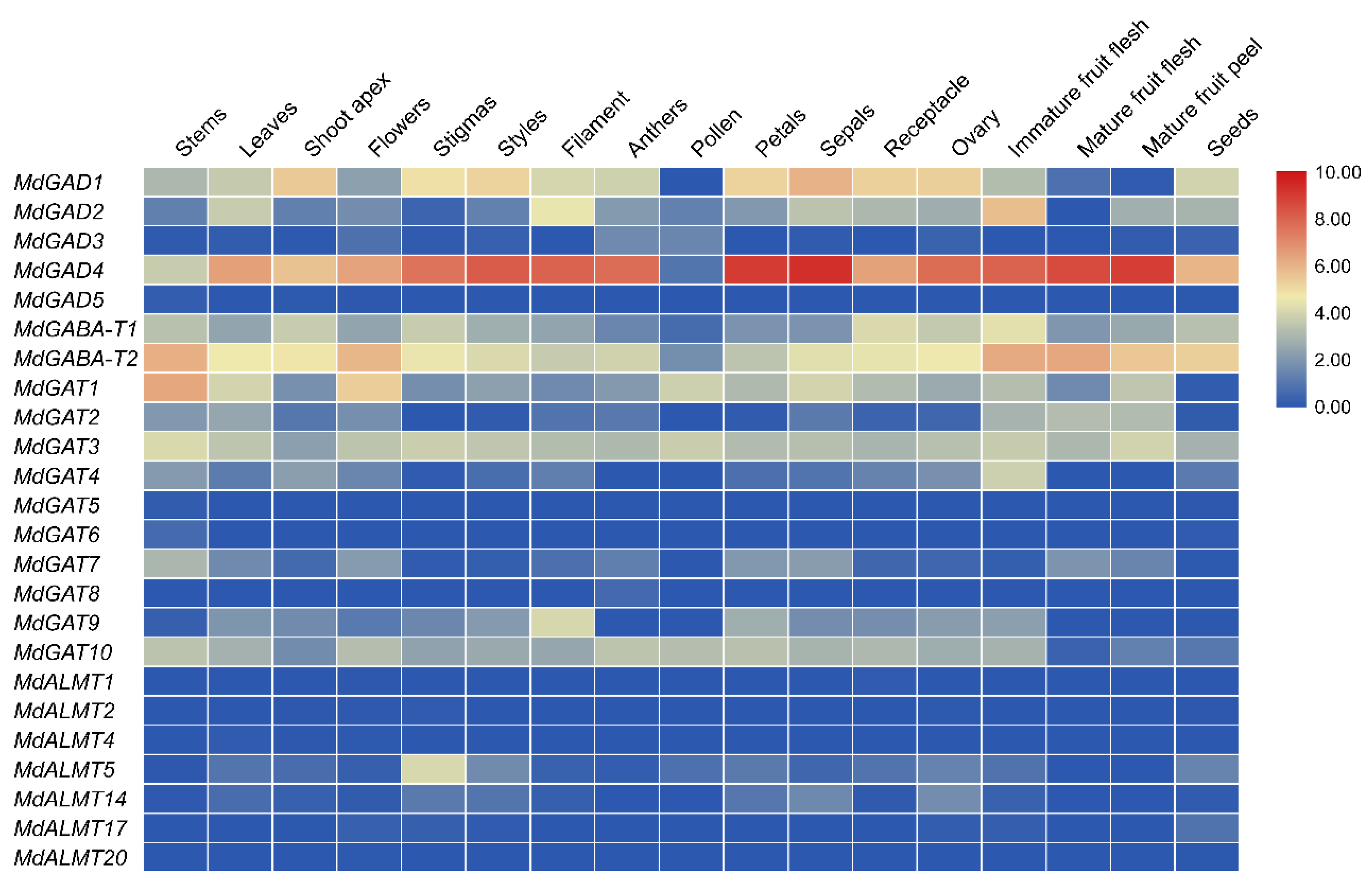 Genes 12 01973 g005