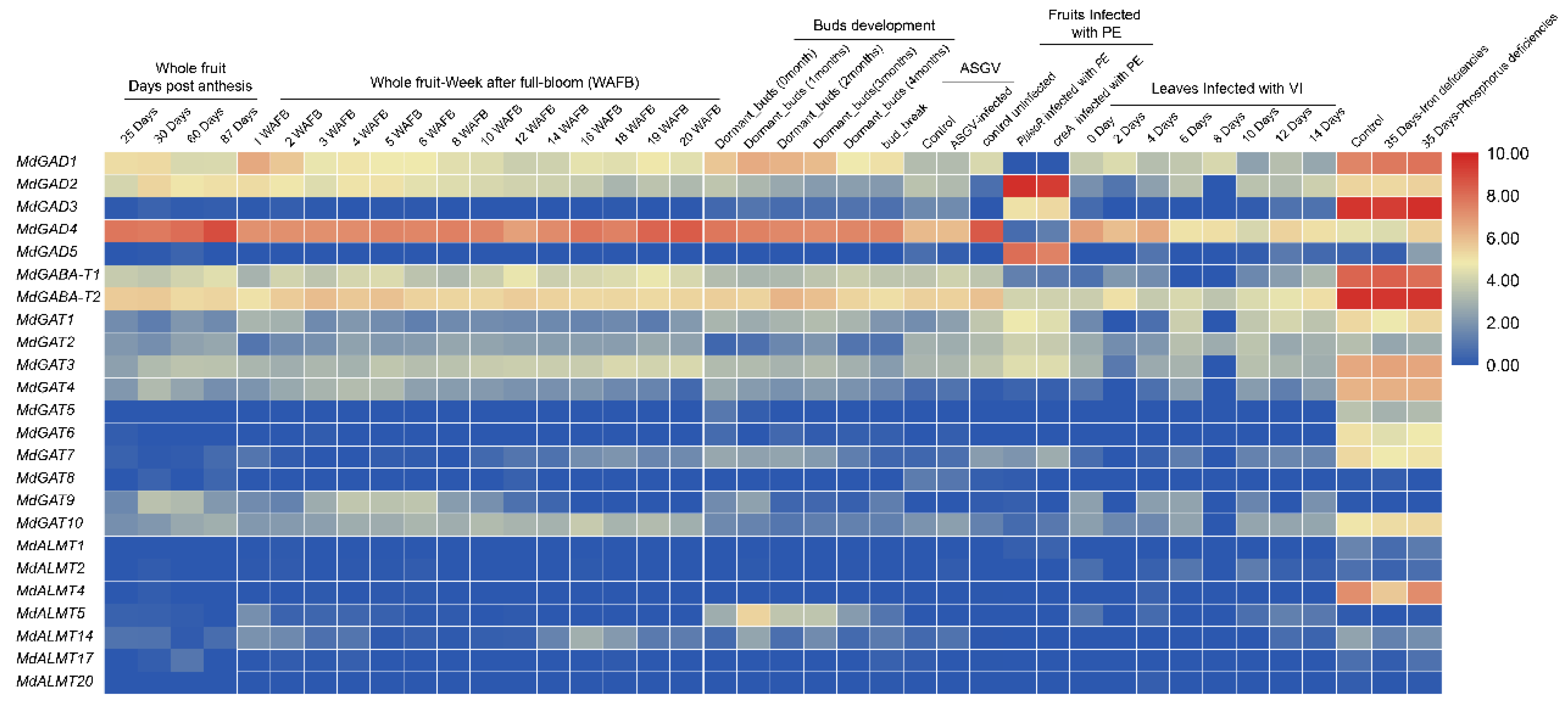 Genes 12 01973 g006