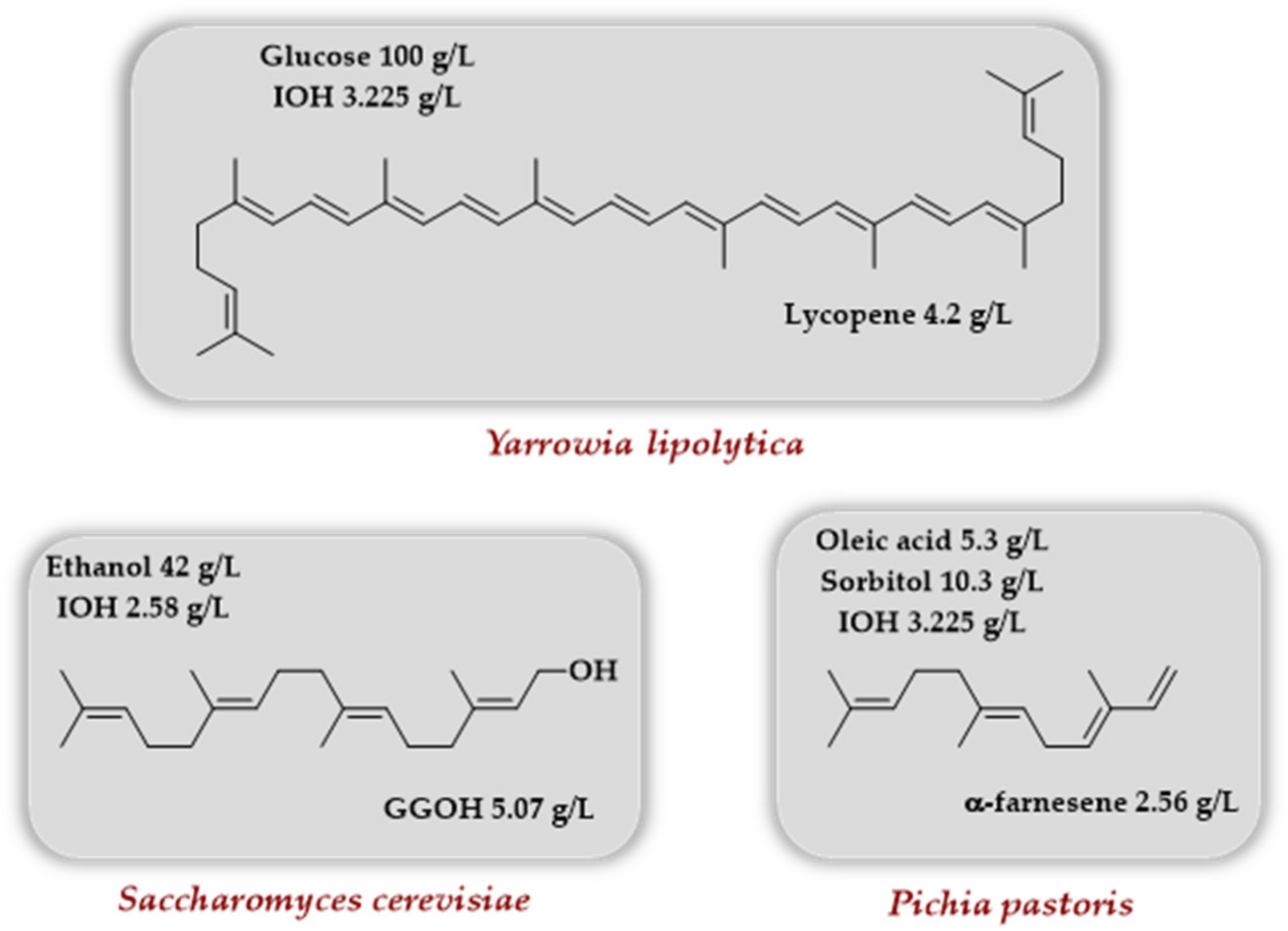 Genes 12 01974 sch010