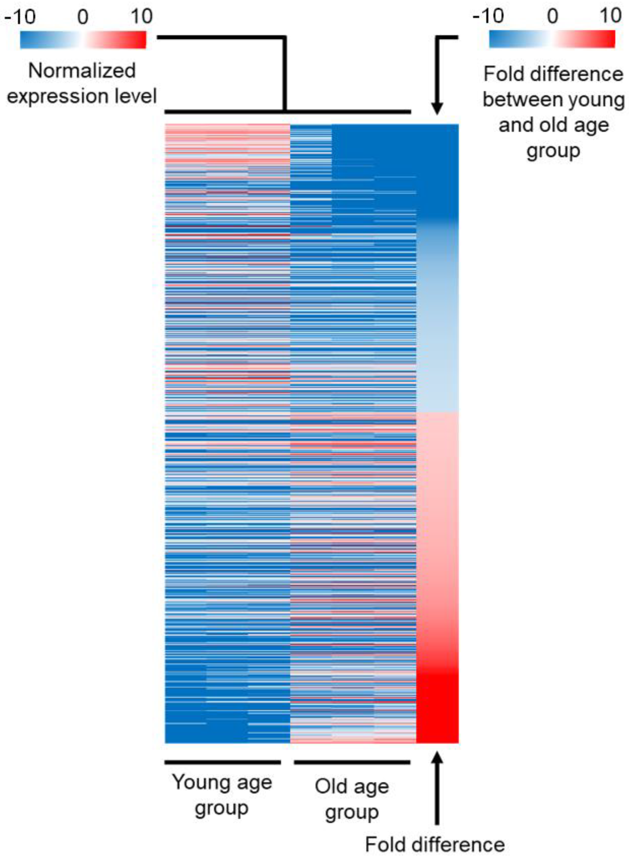 Genes 12 01982 g001 Genes 12 01982 g001