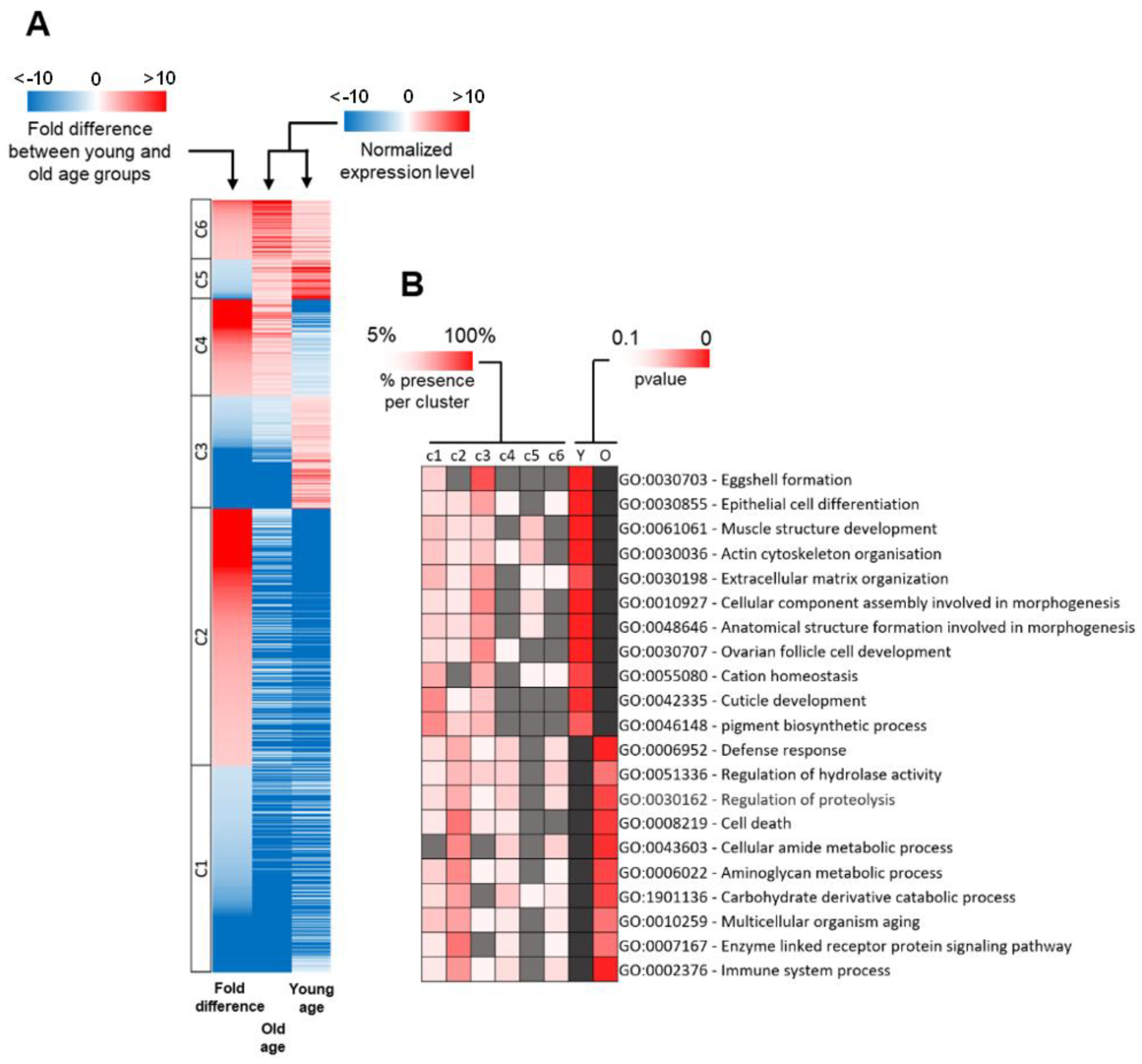 Genes 12 01982 g003 Genes 12 01982 g003