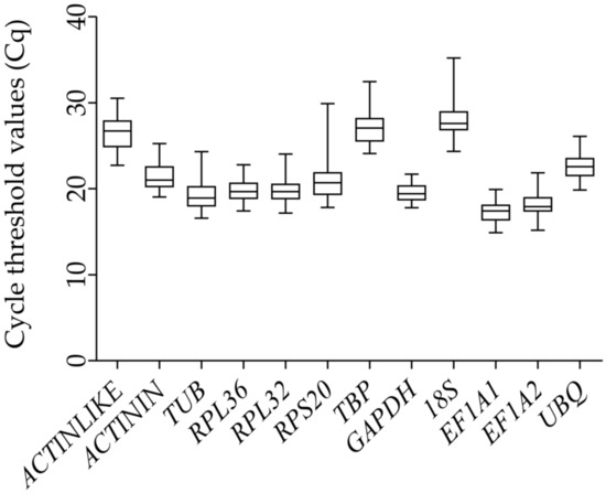 Evaluation of Reference Genes in Glenea cantor (Fabricius
