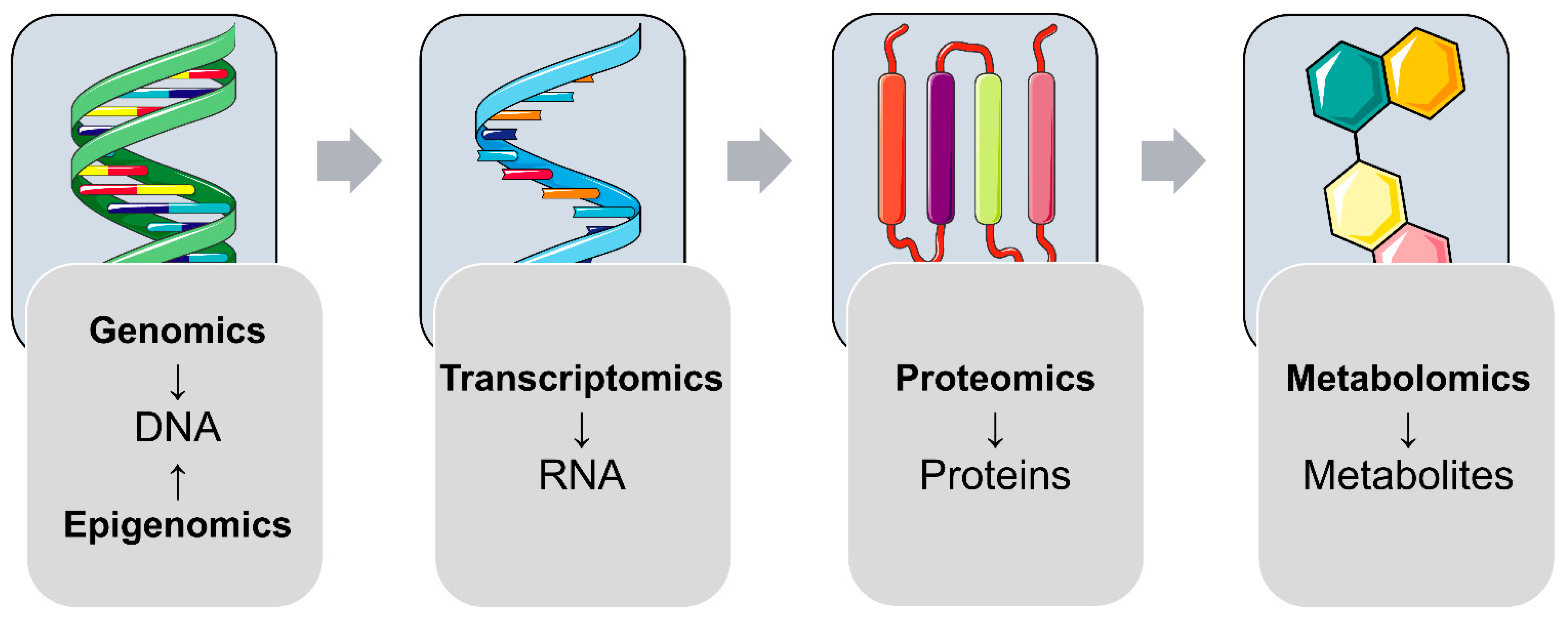 Genes 12 01991 g001