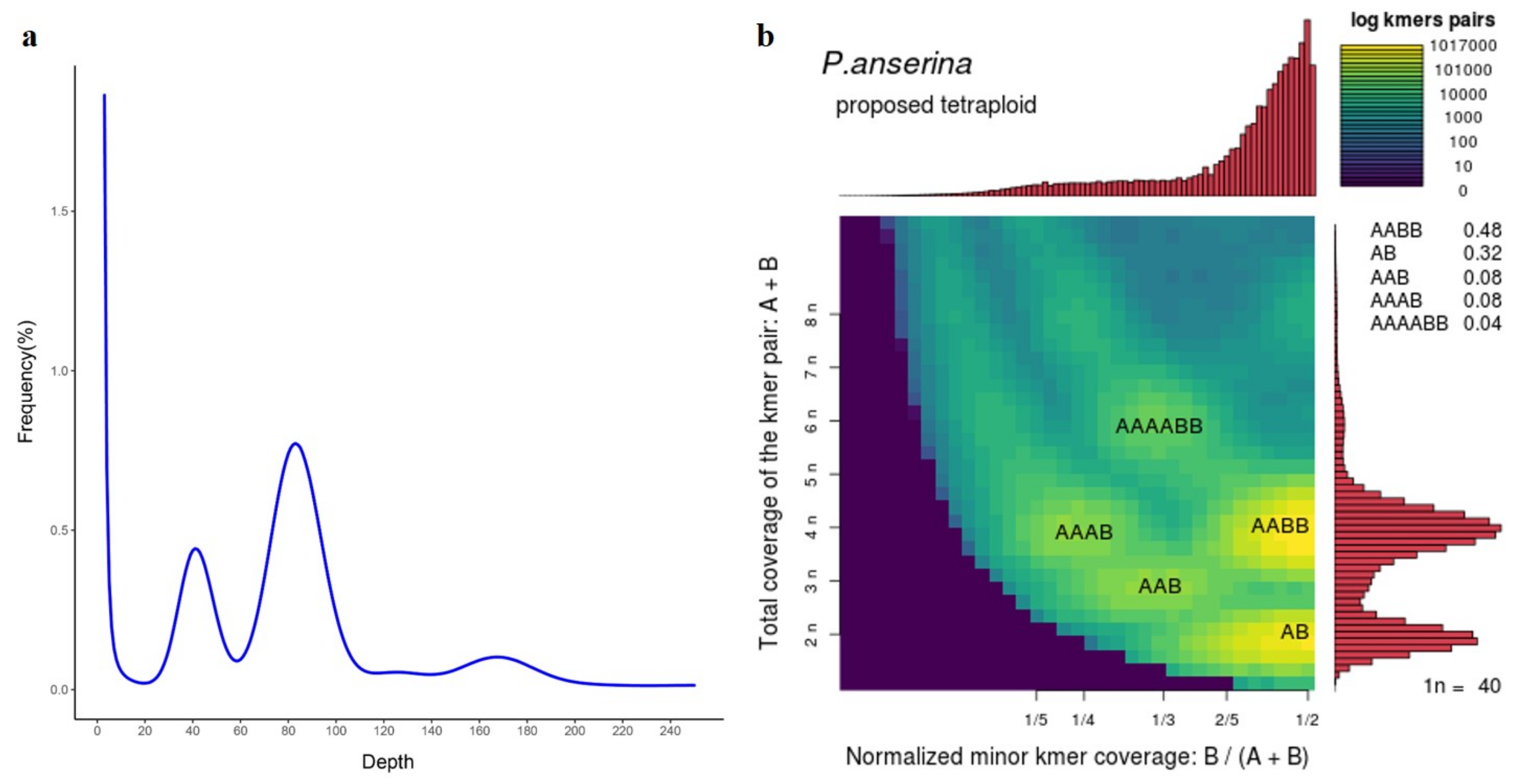 Genes 12 01993 g001