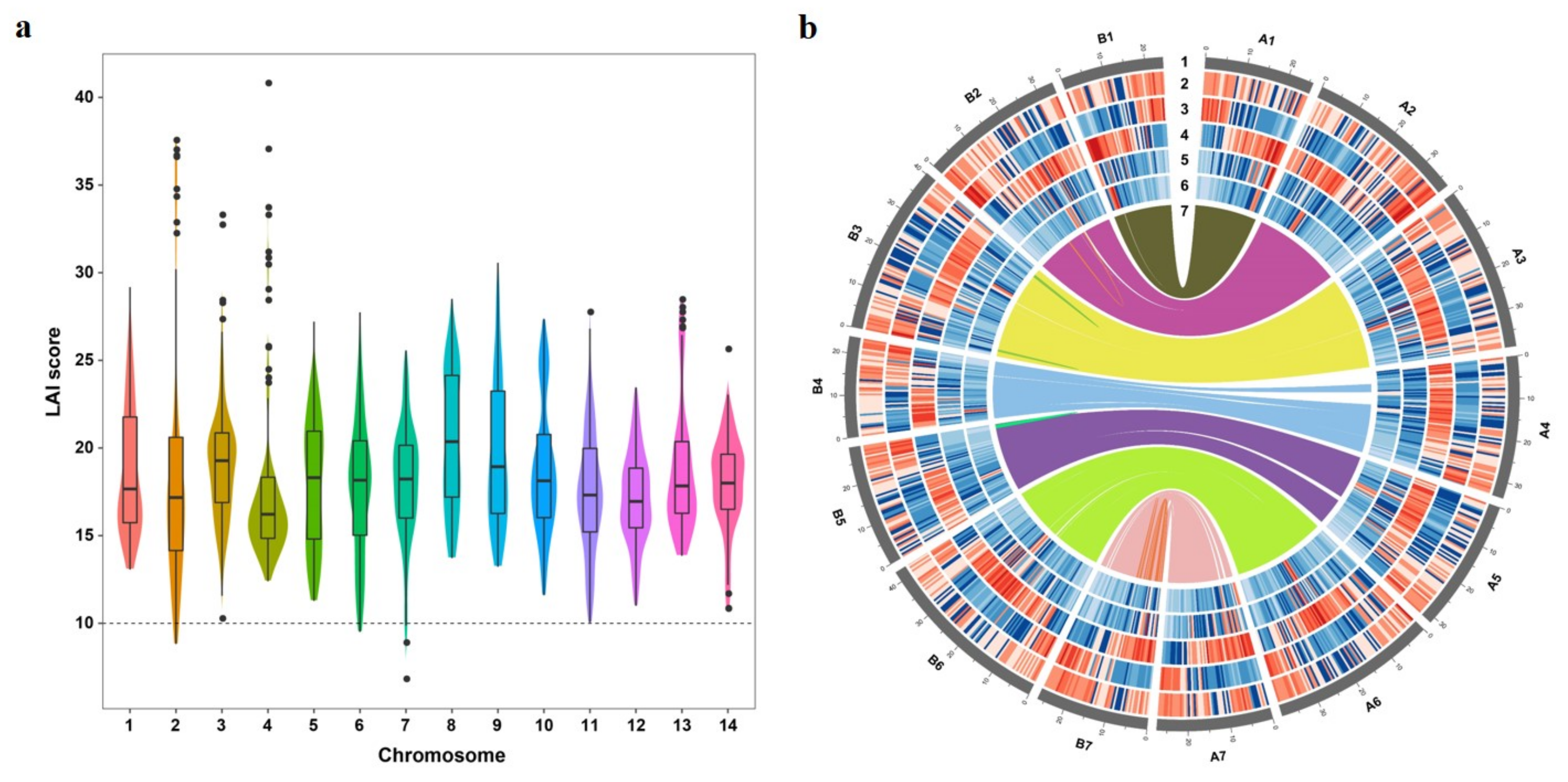 Genes 12 01993 g002
