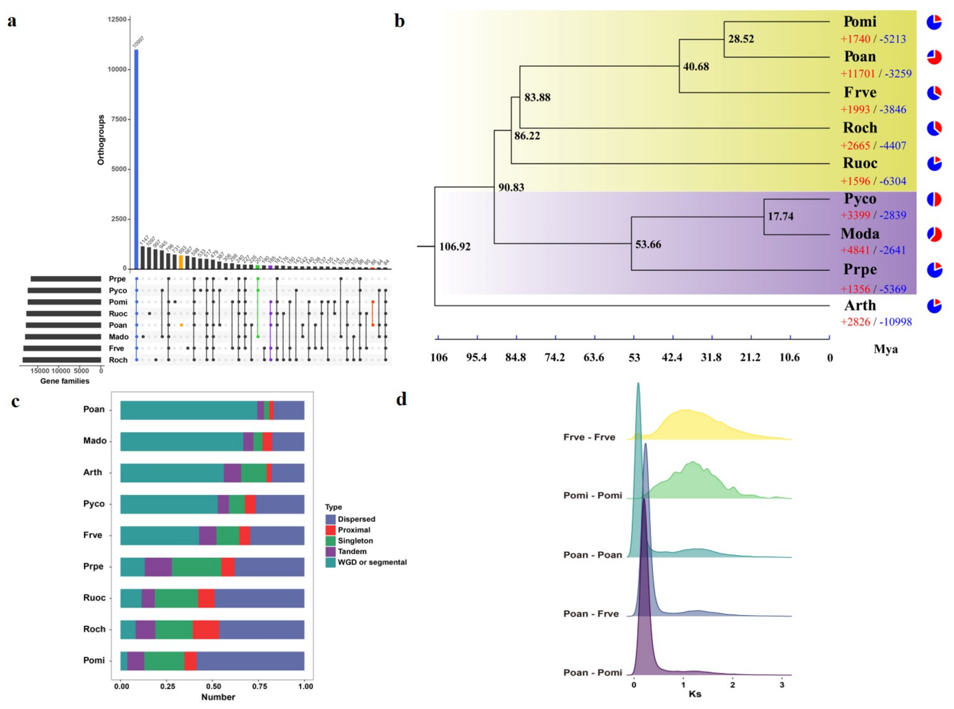 Genes 12 01993 g003