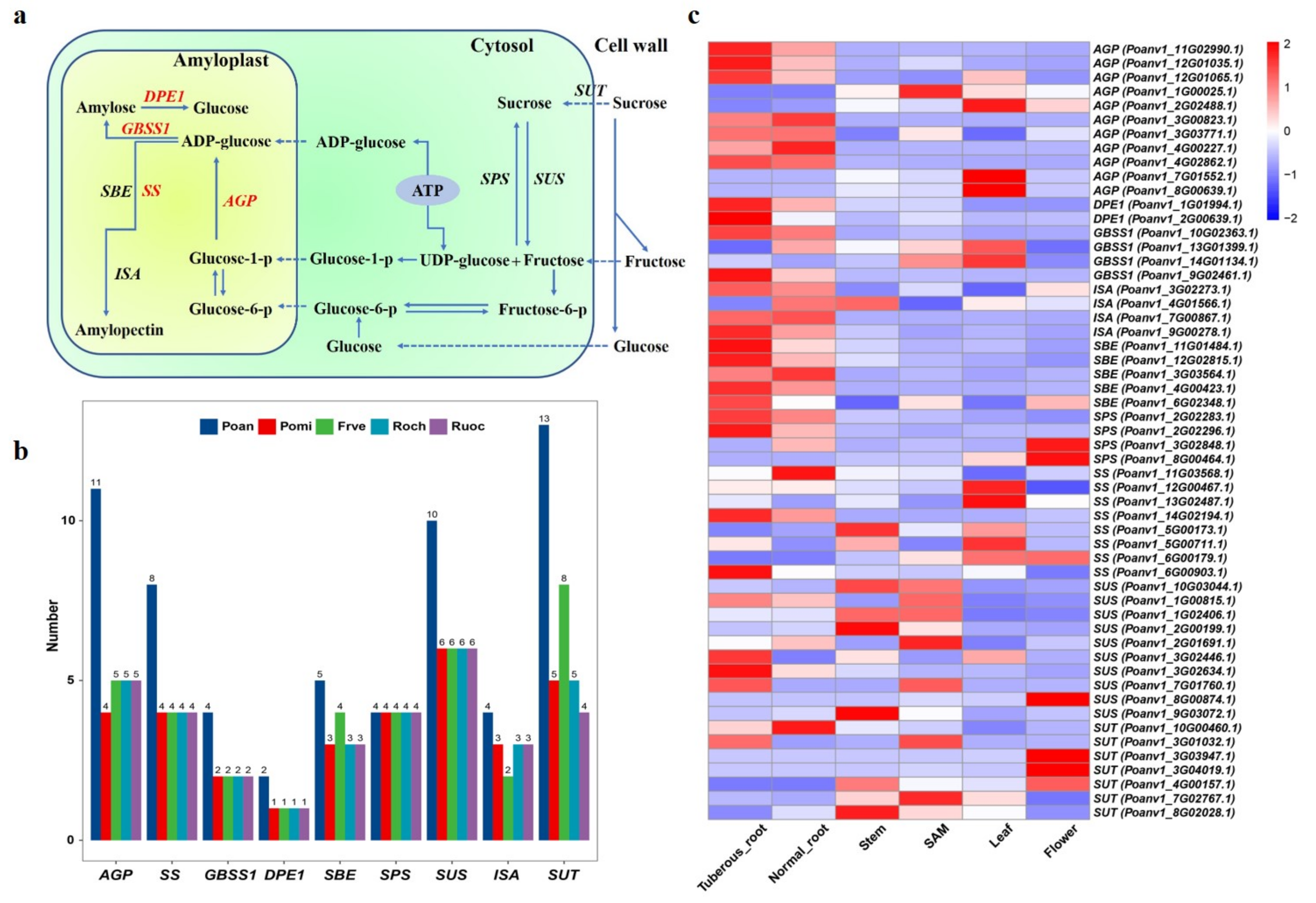 Genes 12 01993 g005