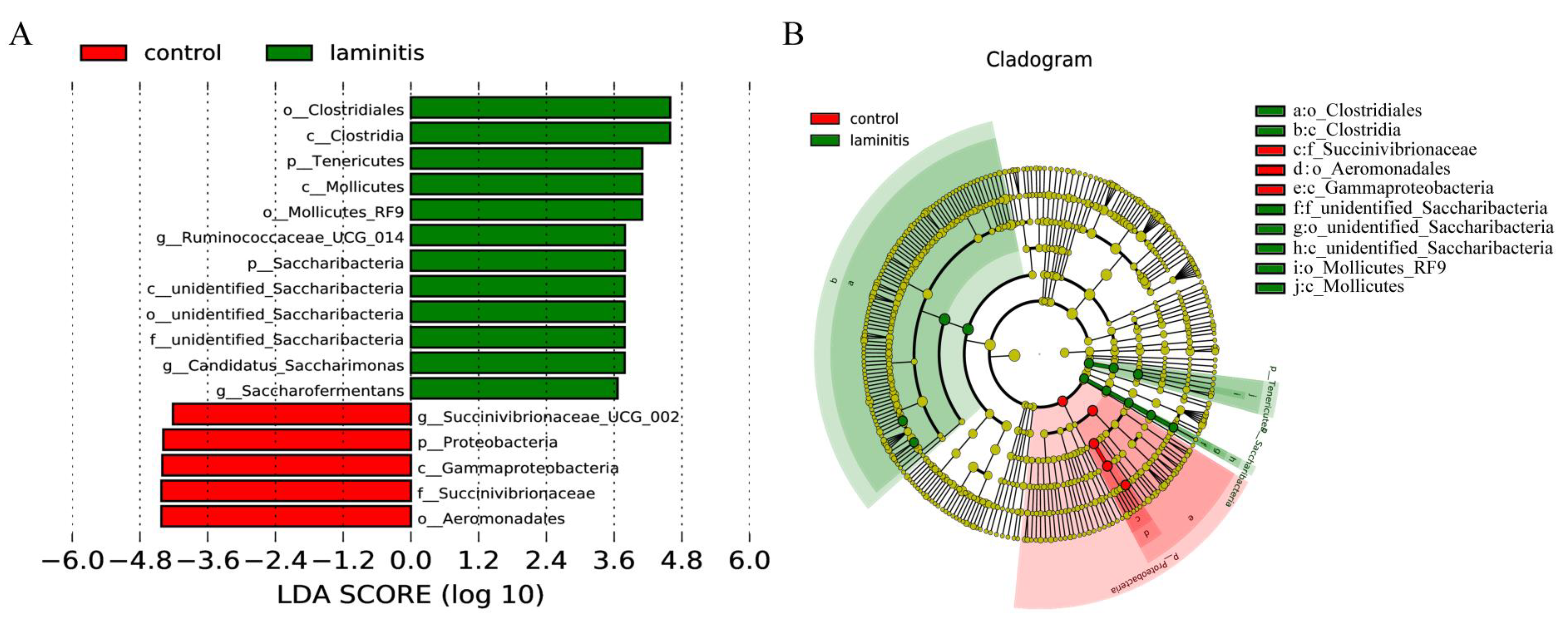 Genes 12 01996 g006 550