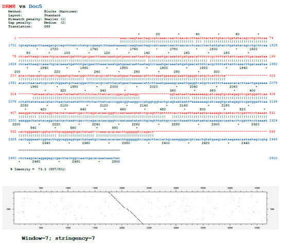 Evidence of the Physical Interaction between Rpl22 and the