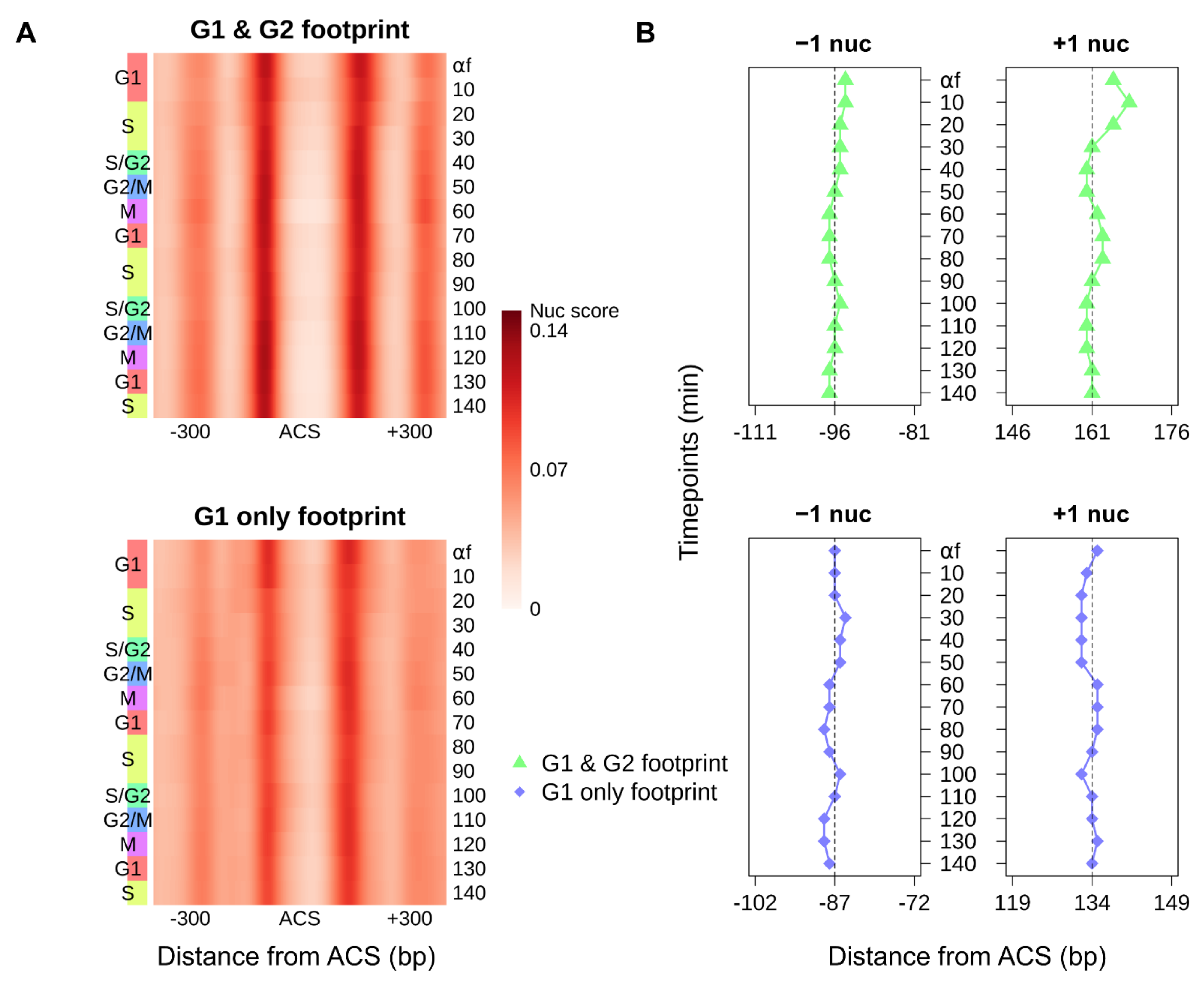Genes 12 01998 g003