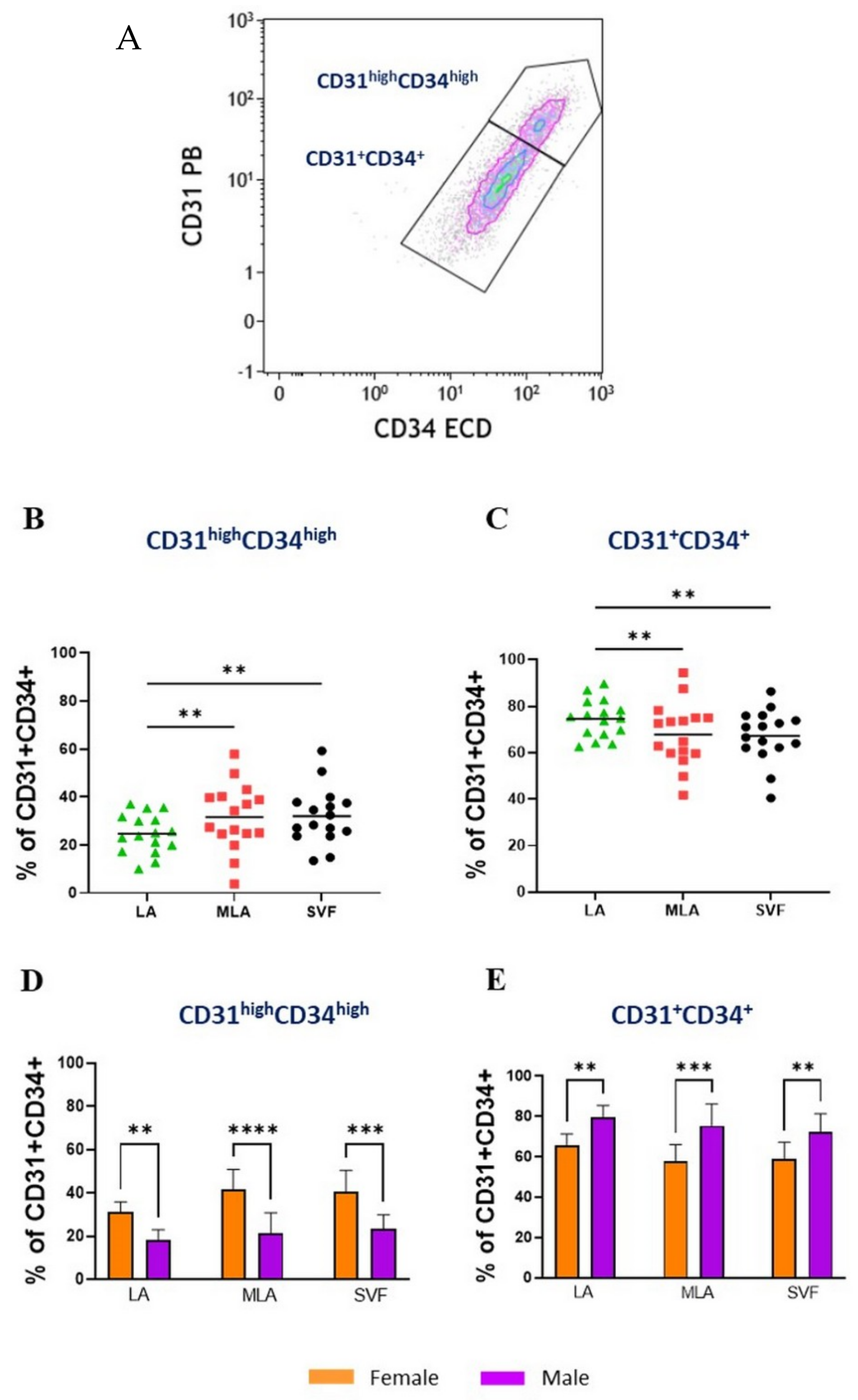 Genes 12 01999 g005 550