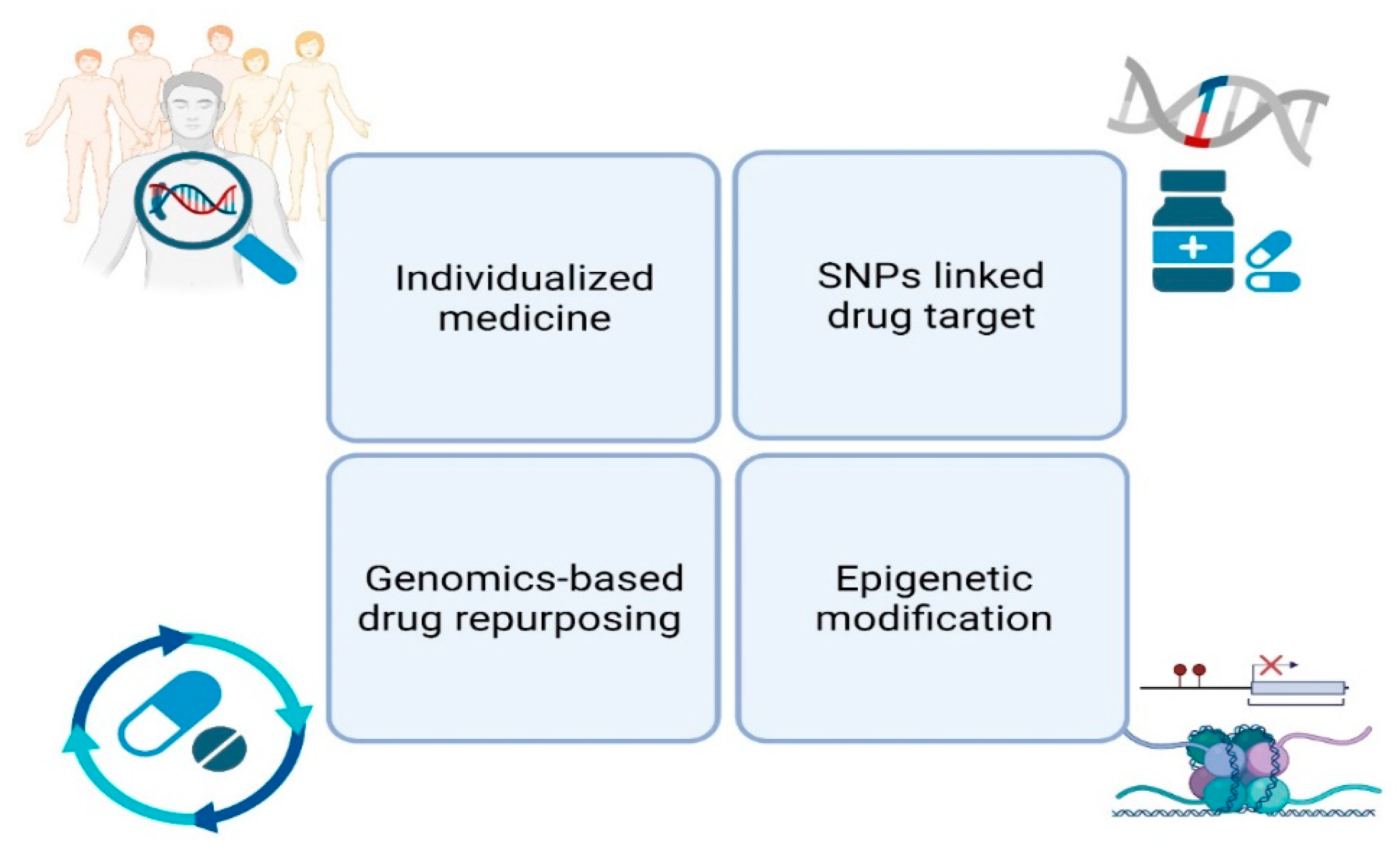Genes 12 02004 g003 550