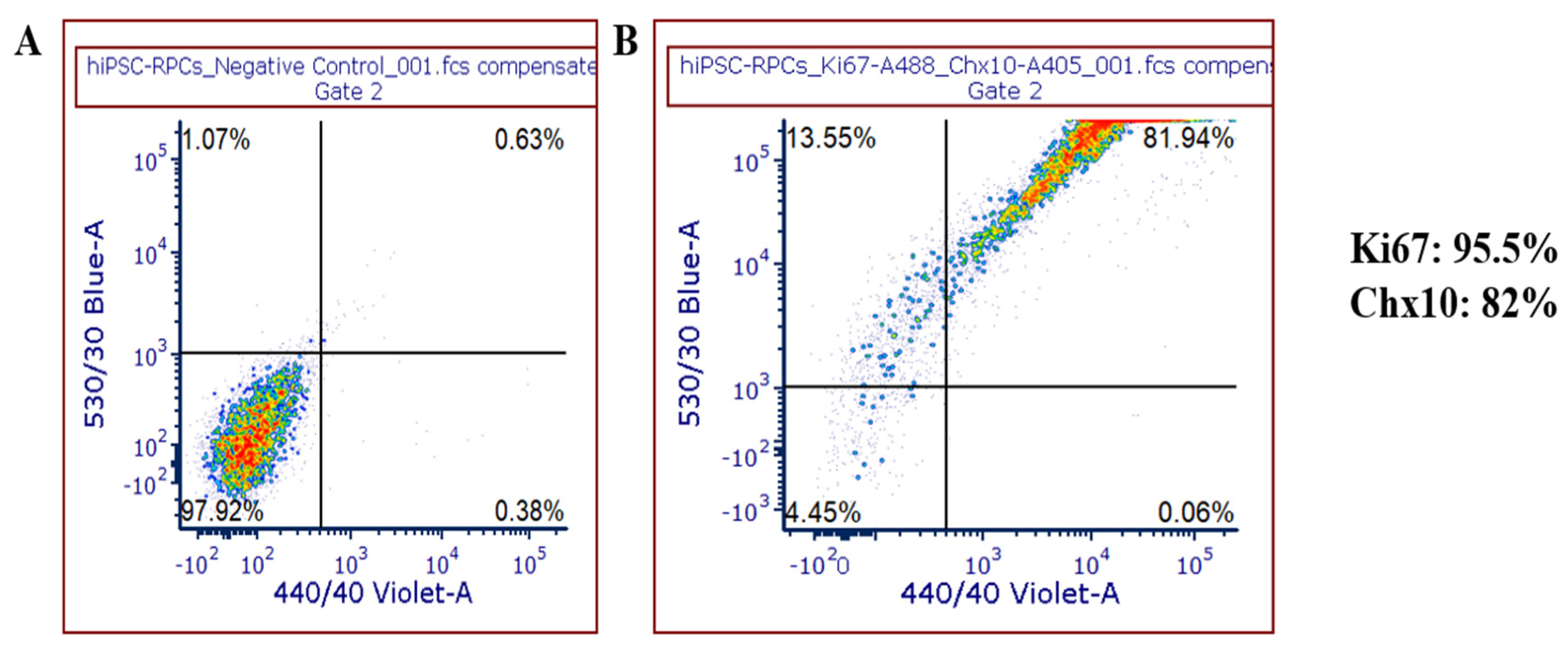 Genes 12 02015 g001a 550