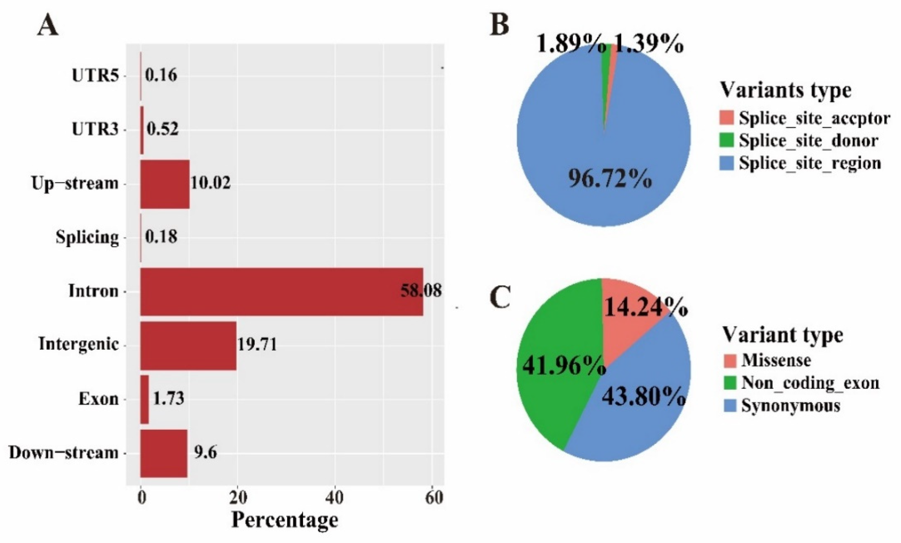 Genes | Free Full-Text | Large-Scale Whole Genome Sequencing Study 