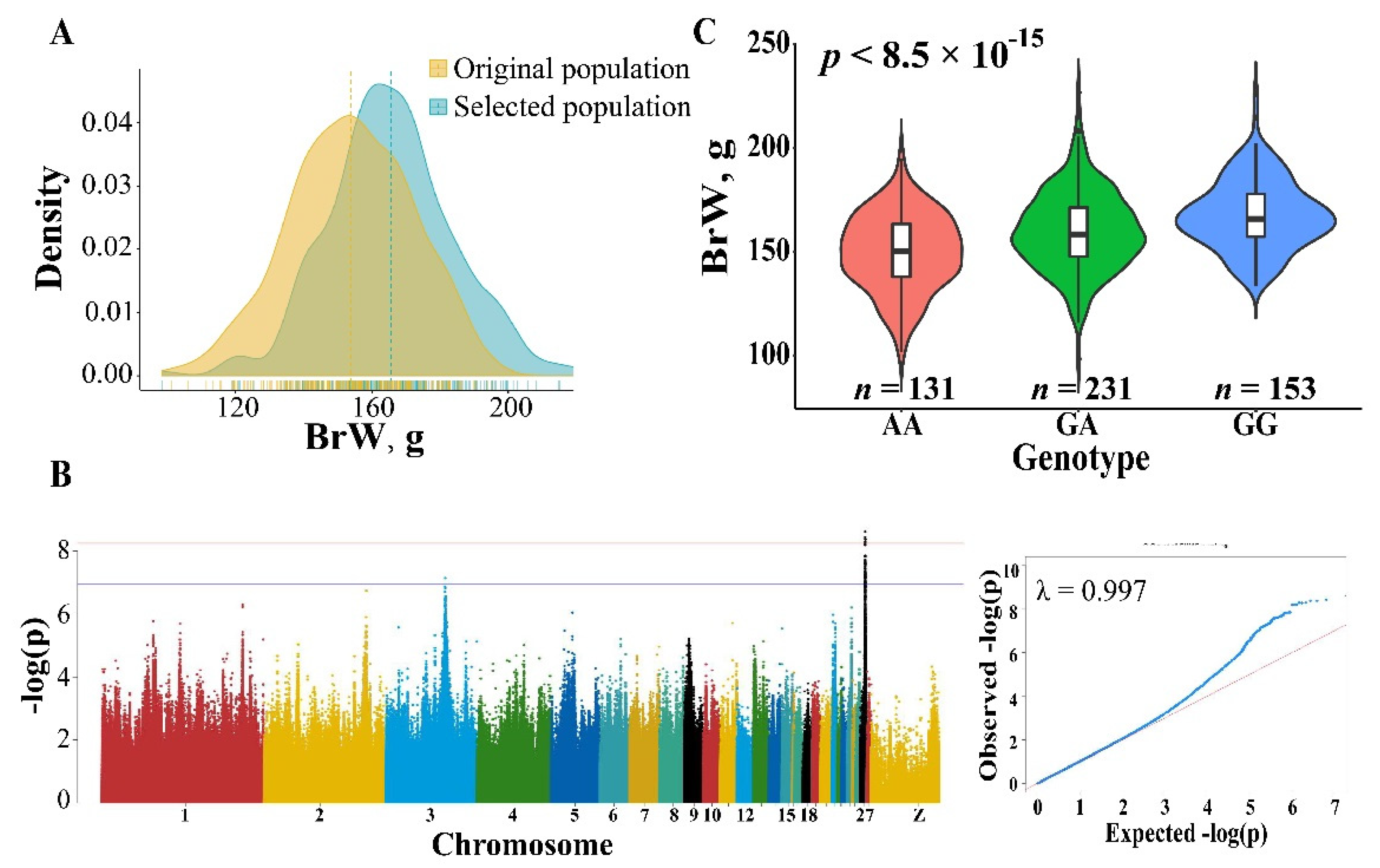 Genes 13 00003 g004 550