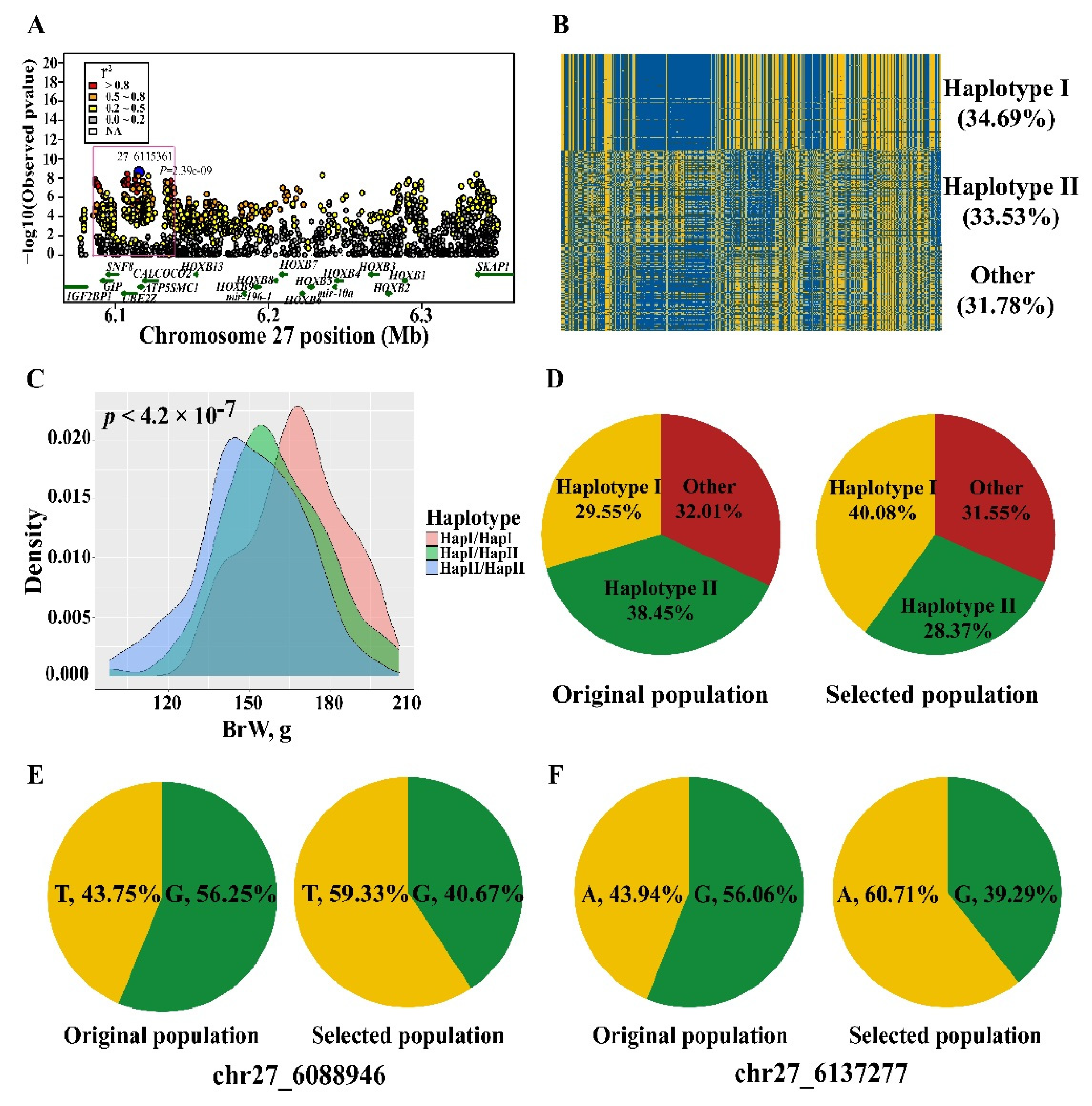 Genes 13 00003 g005 550