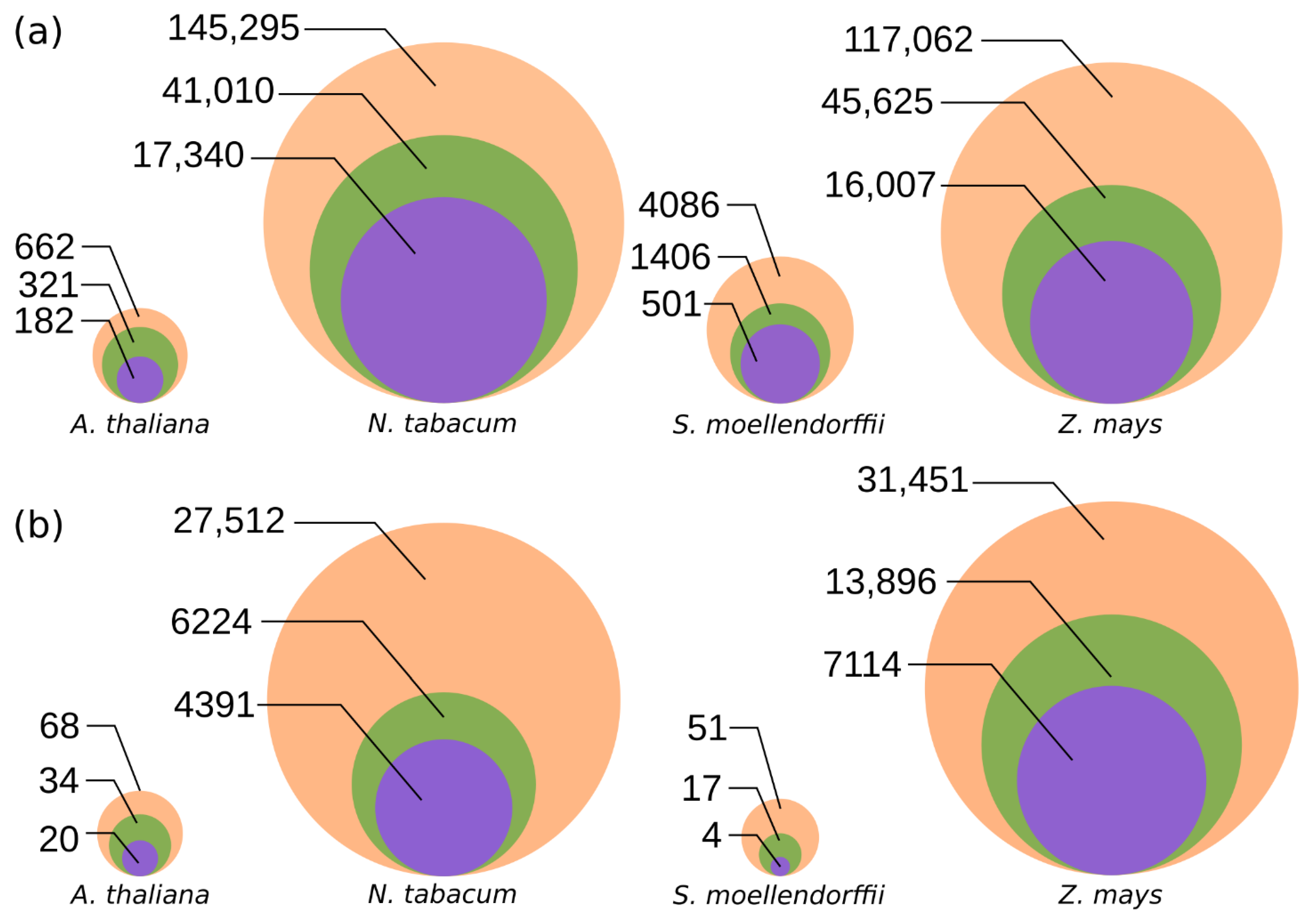Genes 13 00009 g002 550