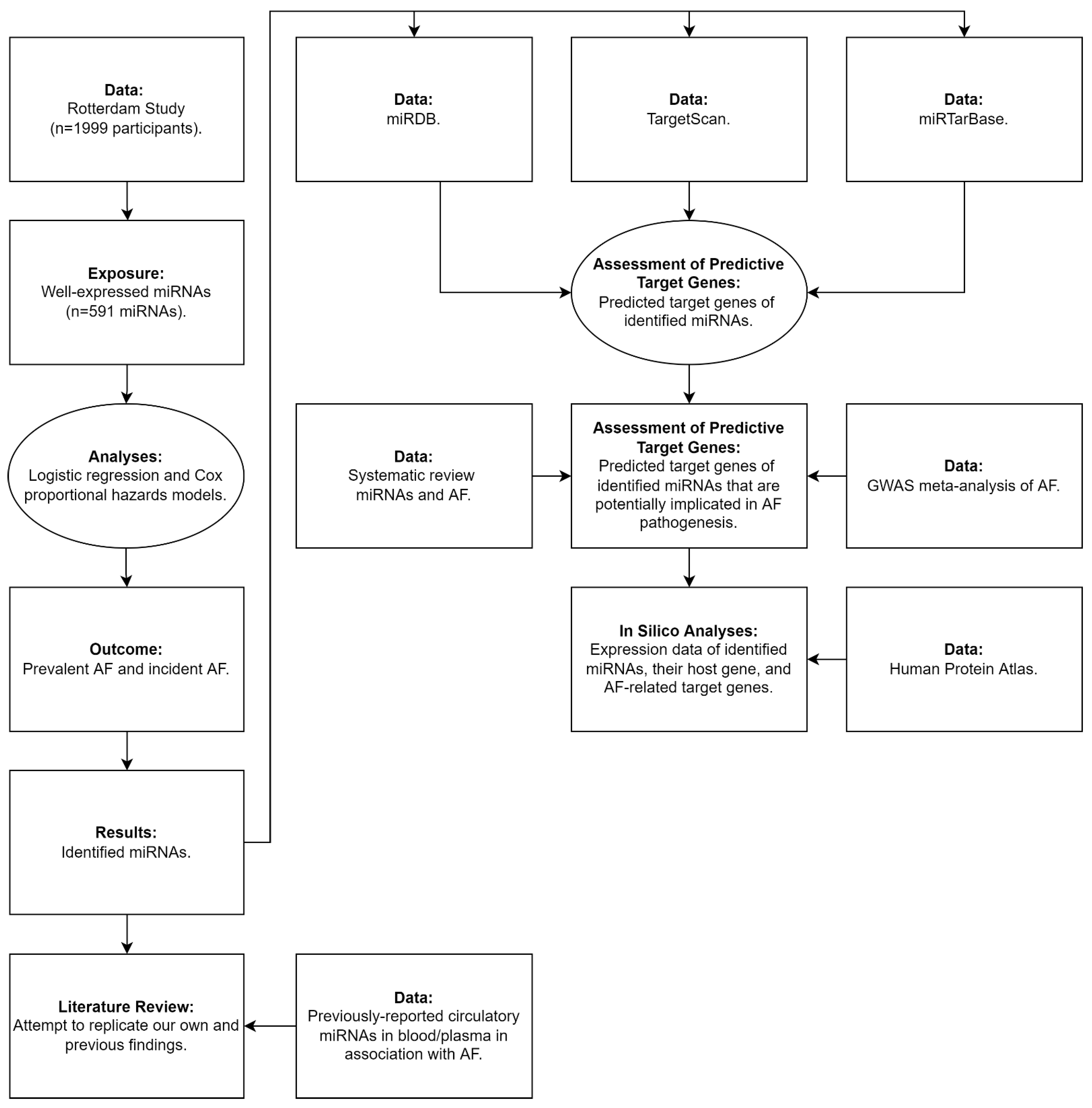 Genes 13 00011 g001 Genes 13 00011 g001