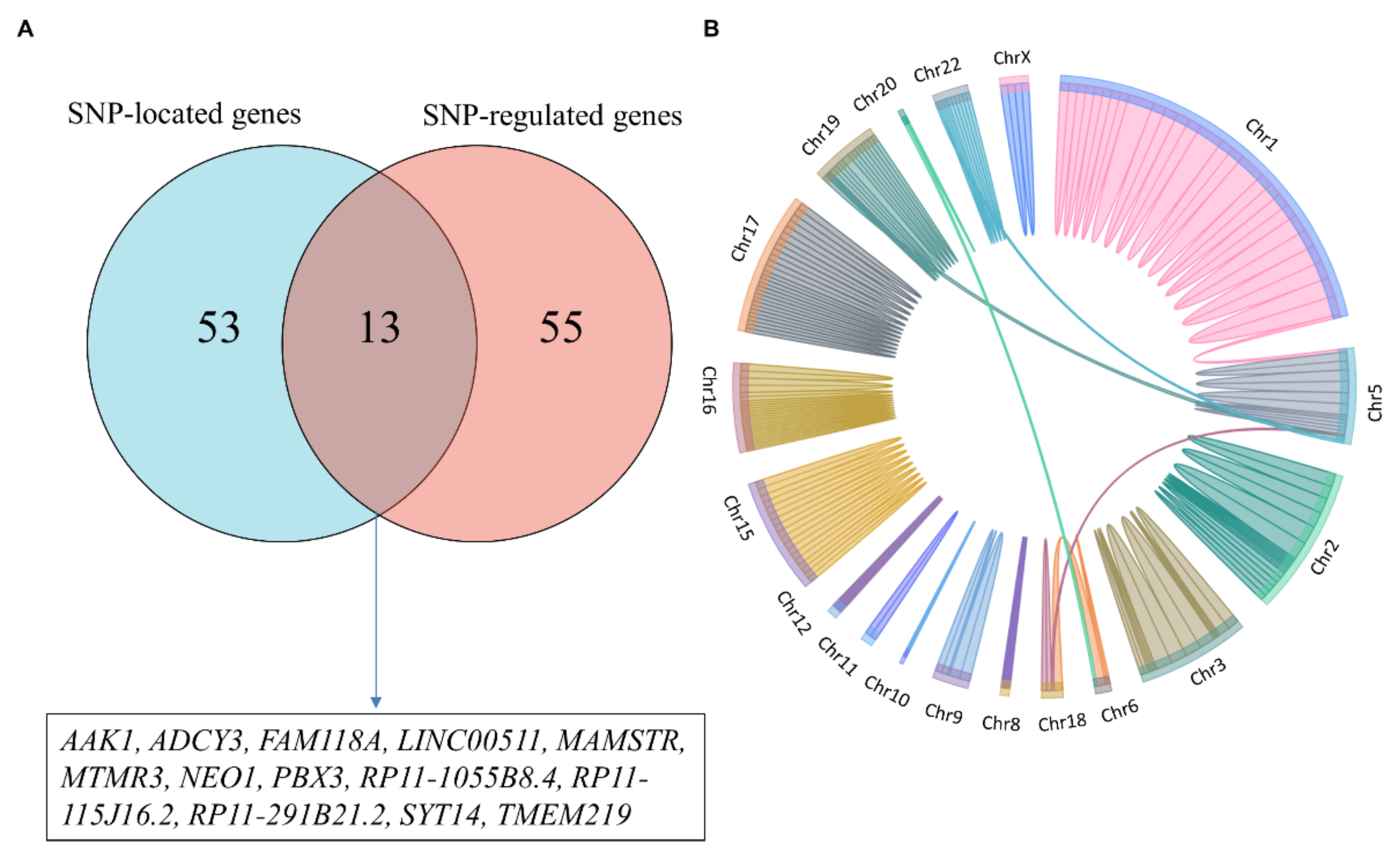 Genes 13 00013 g003