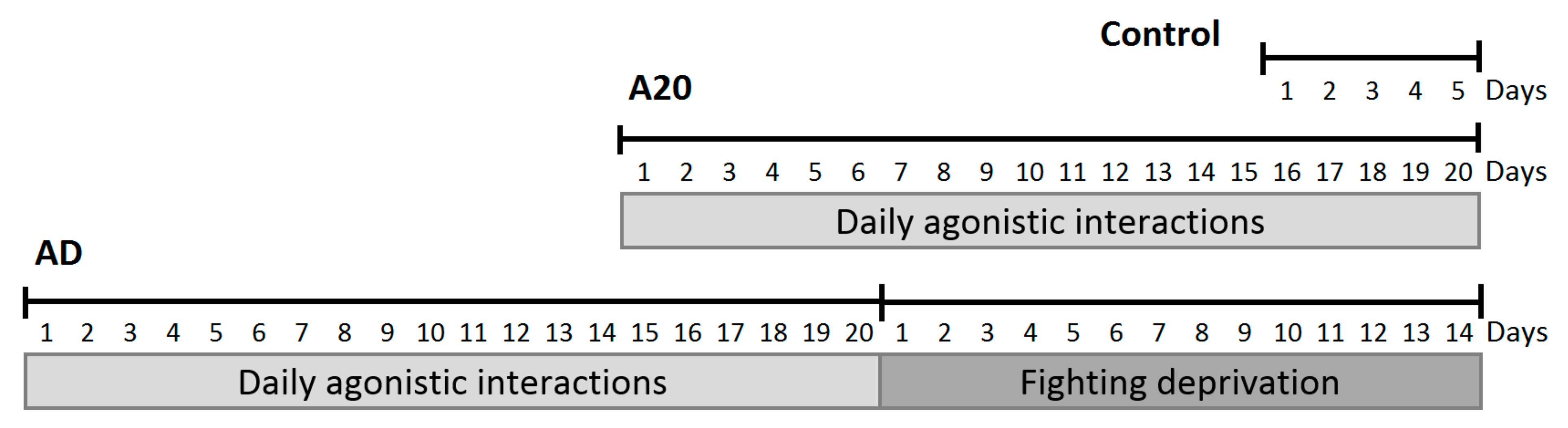 Genes 13 00021 g001 550