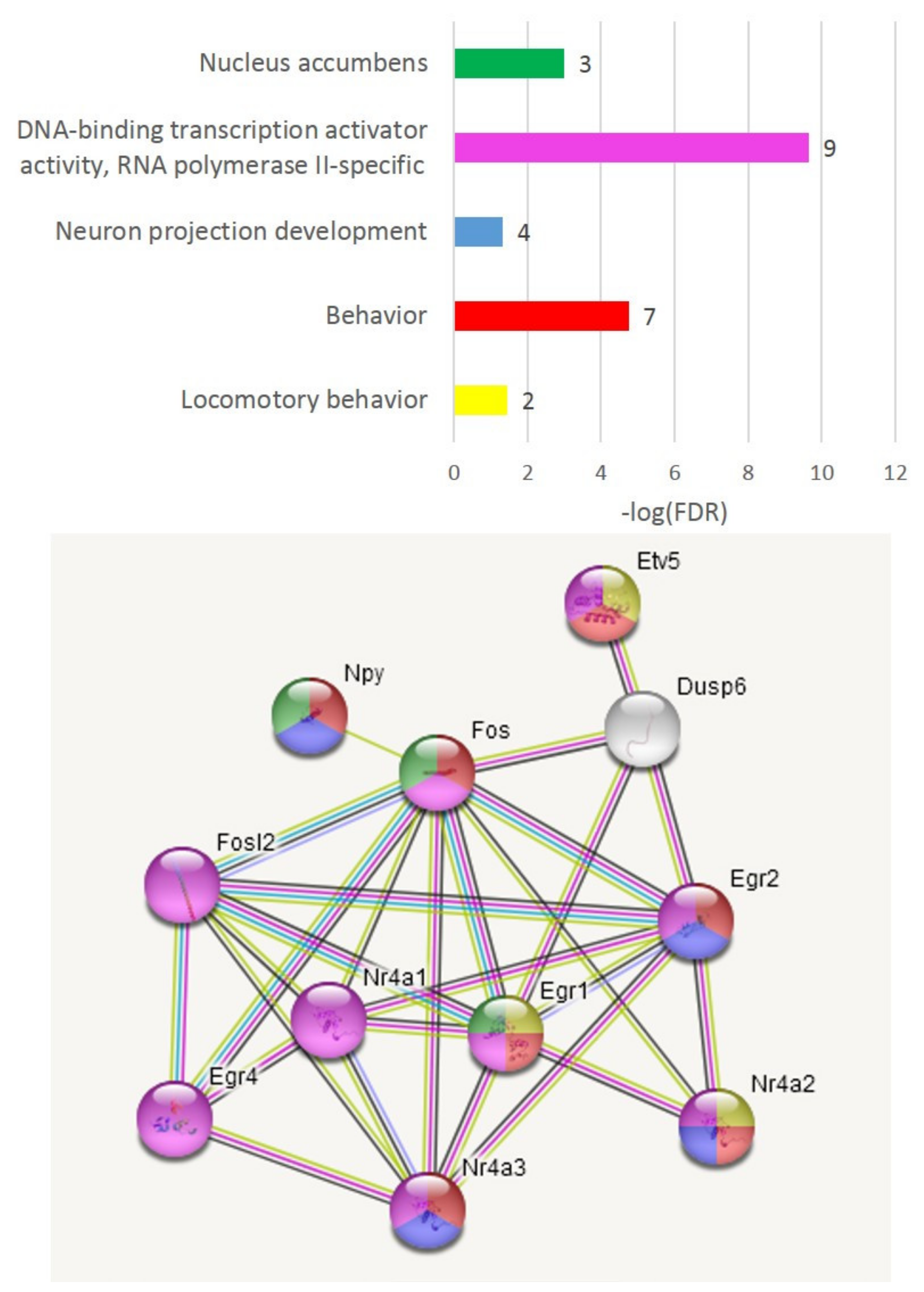 Genes 13 00021 g004 550