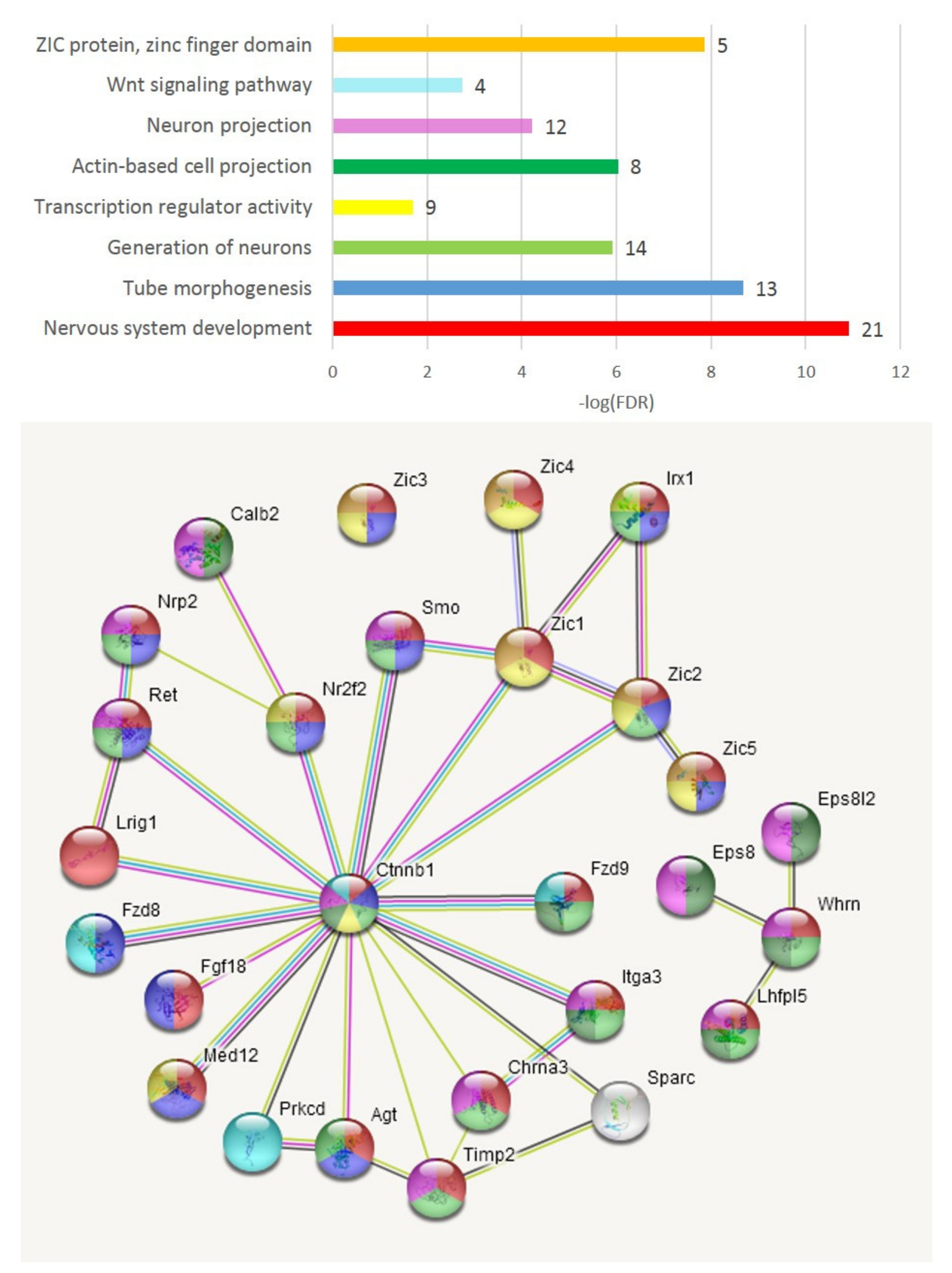 Genes 13 00021 g007 550