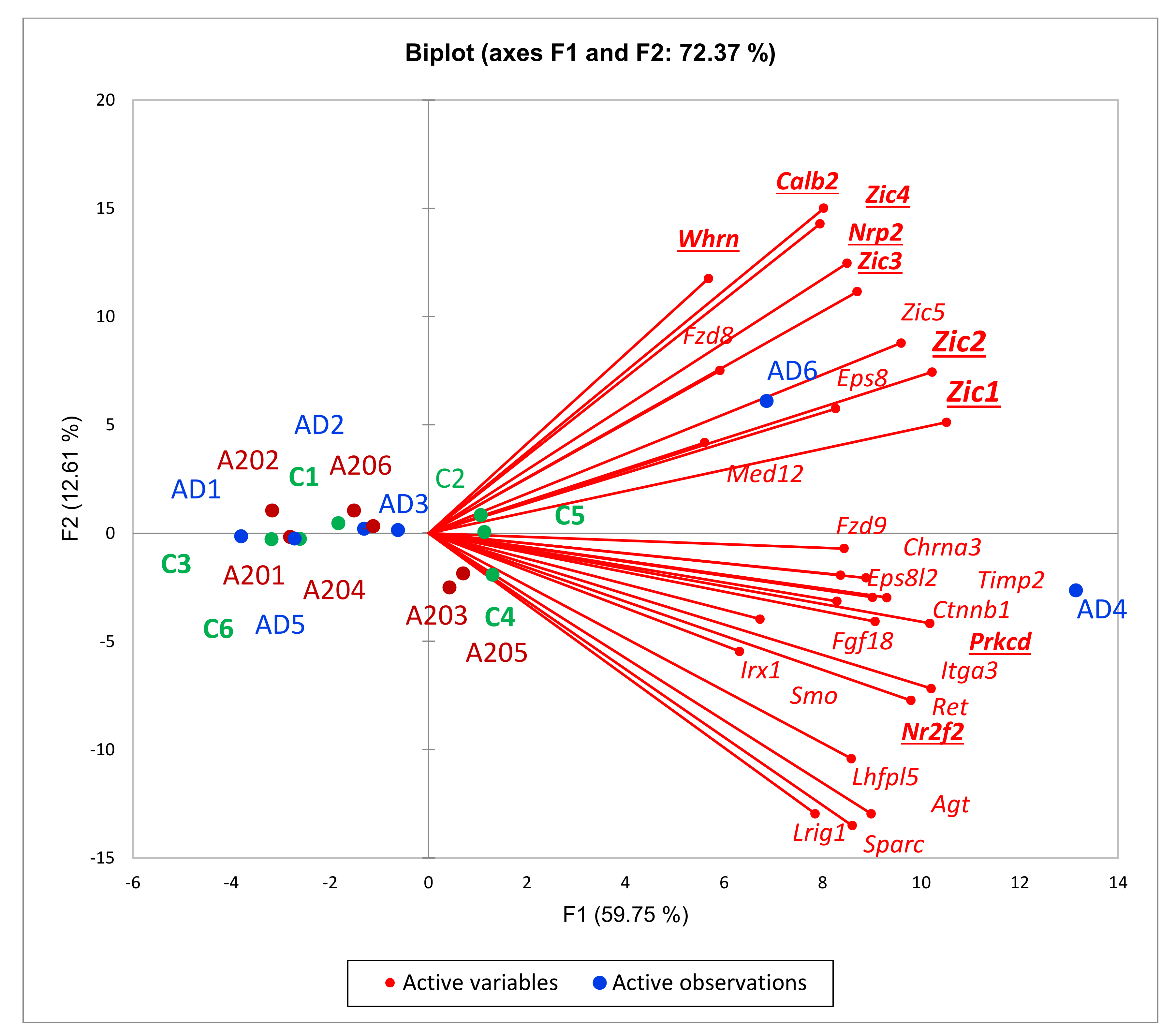 Genes 13 00021 g008 550