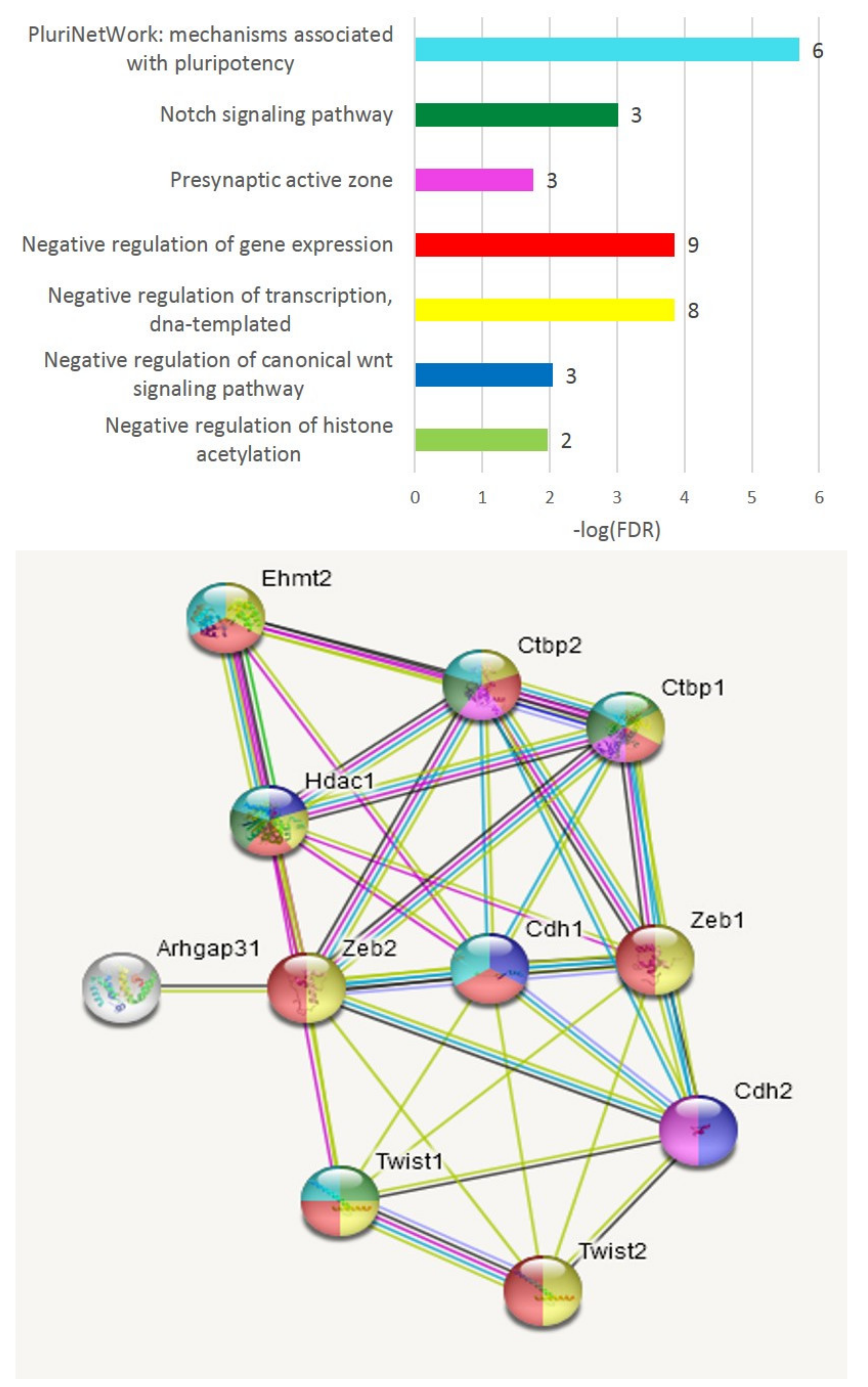 Genes 13 00021 g009 550