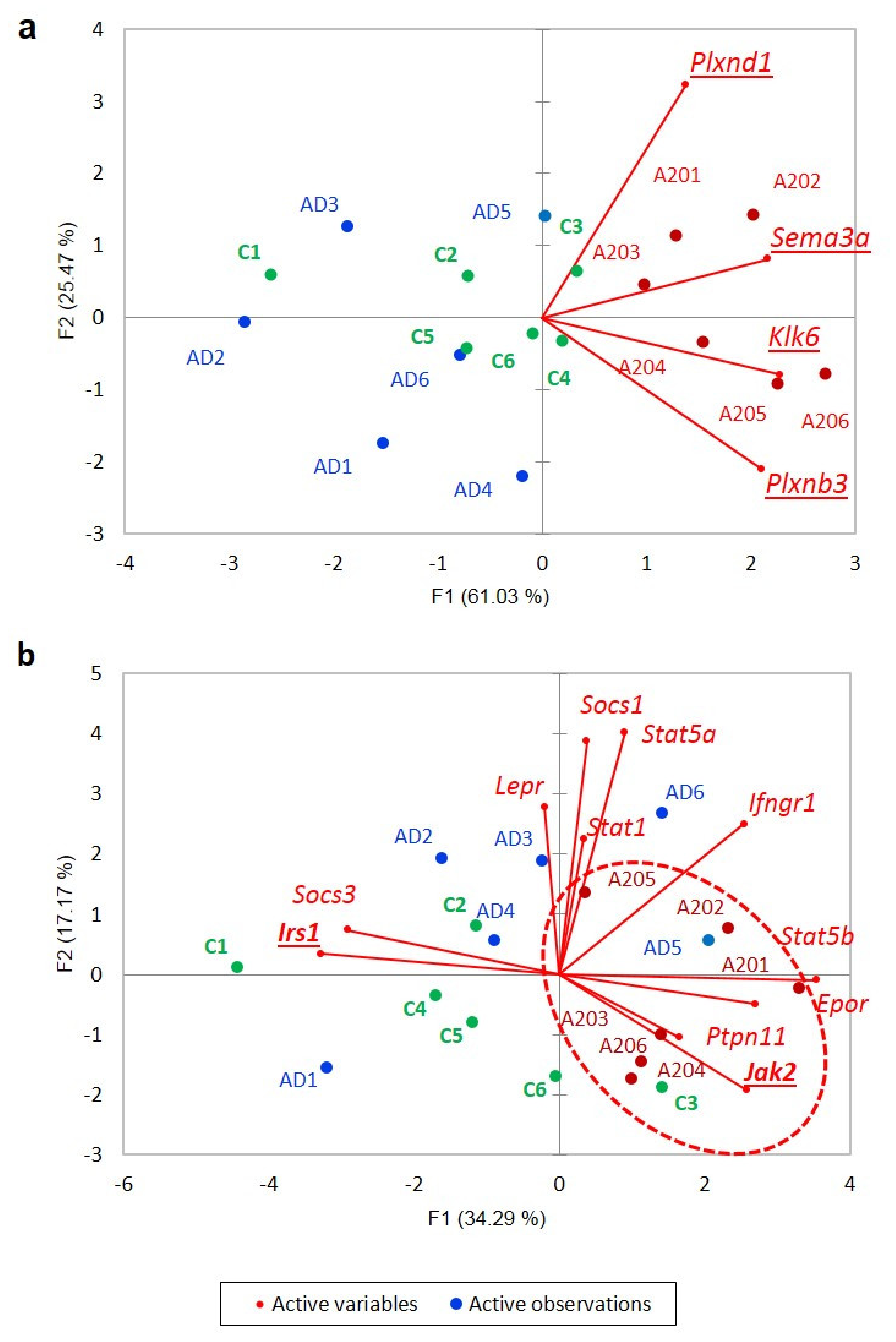 Genes 13 00021 g011 550