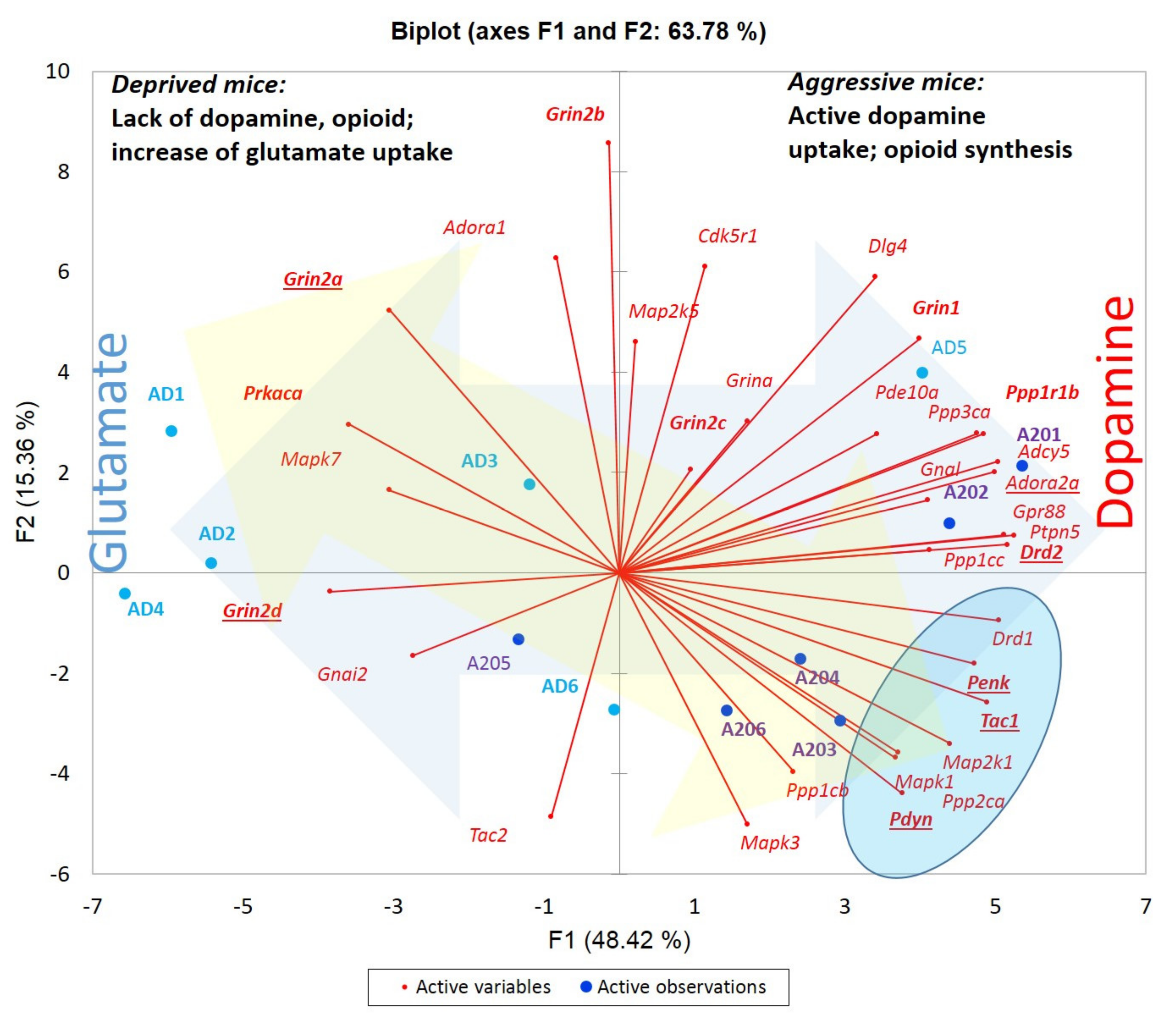 Genes 13 00021 g013 550