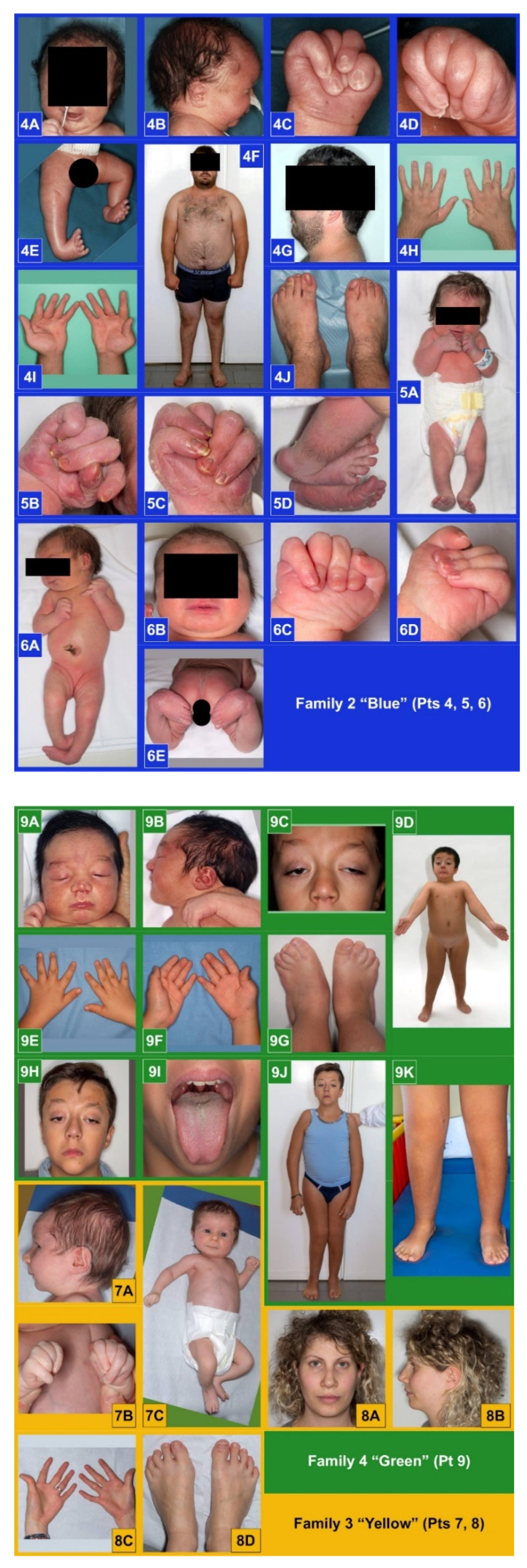 Genes 13 00029 g001b