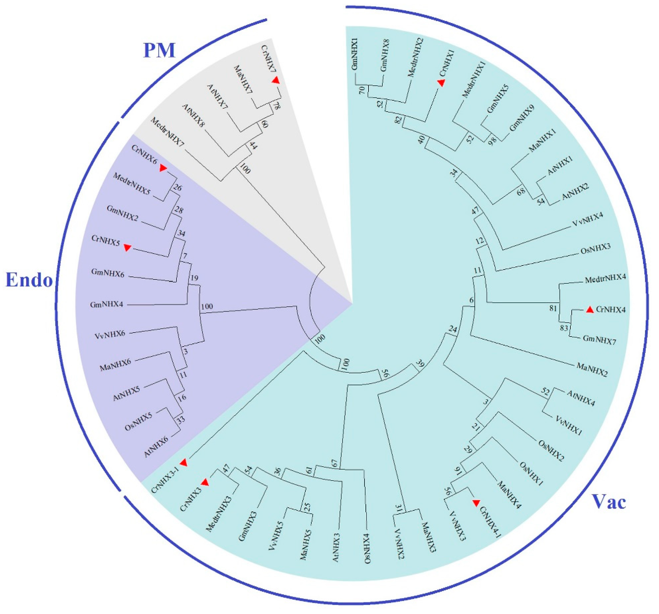 Genes 13 00033 g002 550