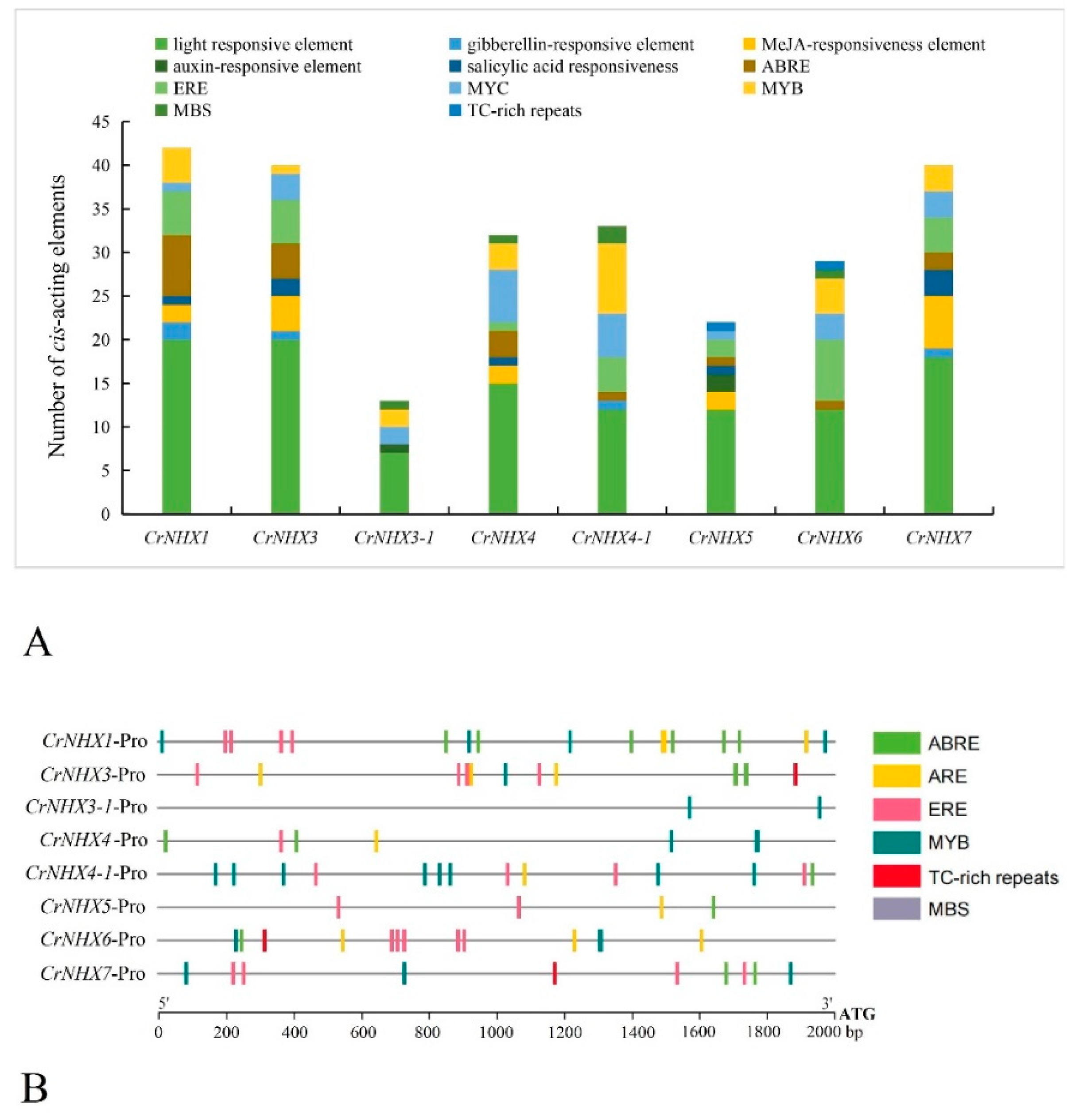 Genes 13 00033 g004 550
