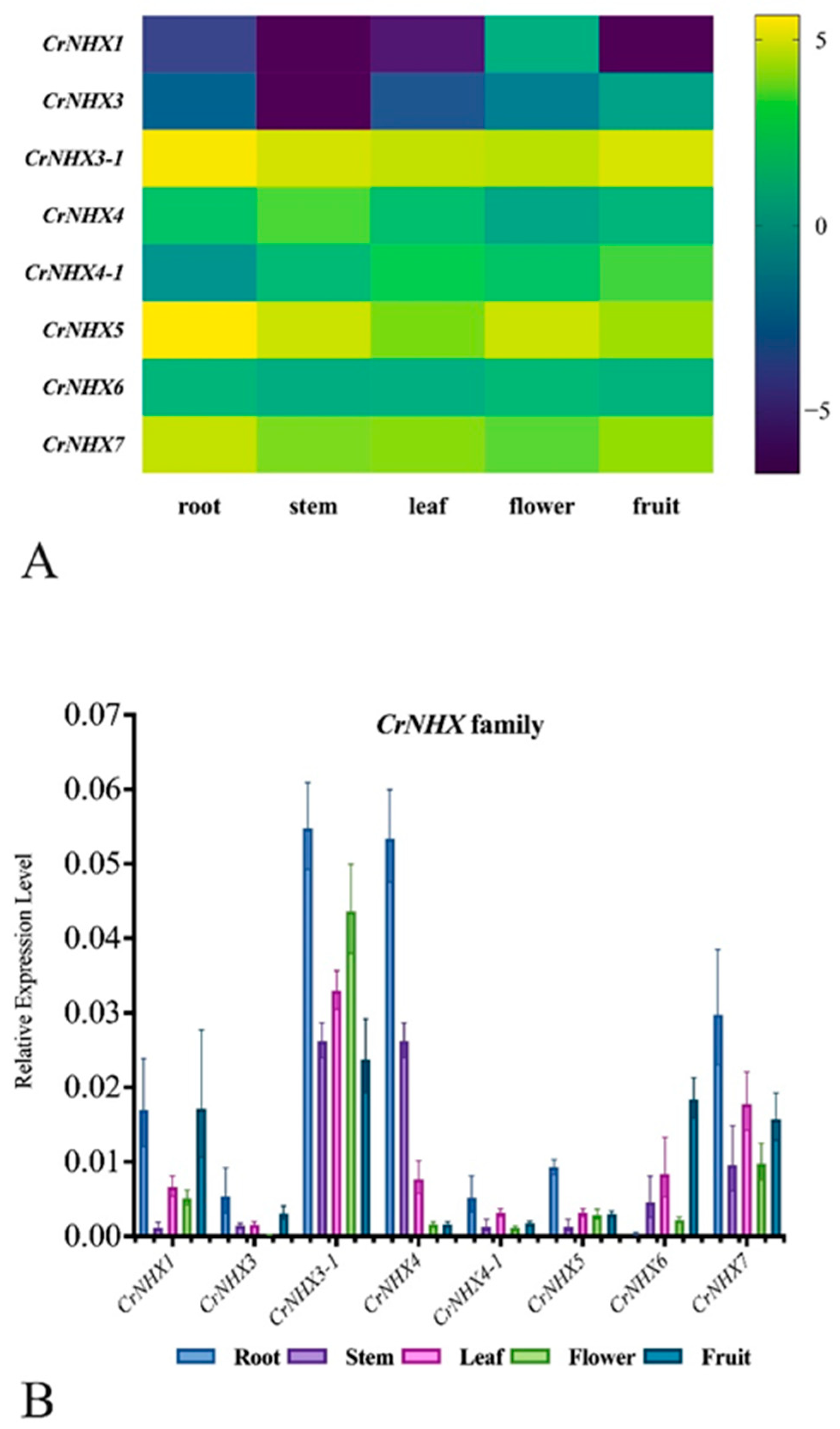 Genes 13 00033 g005 550