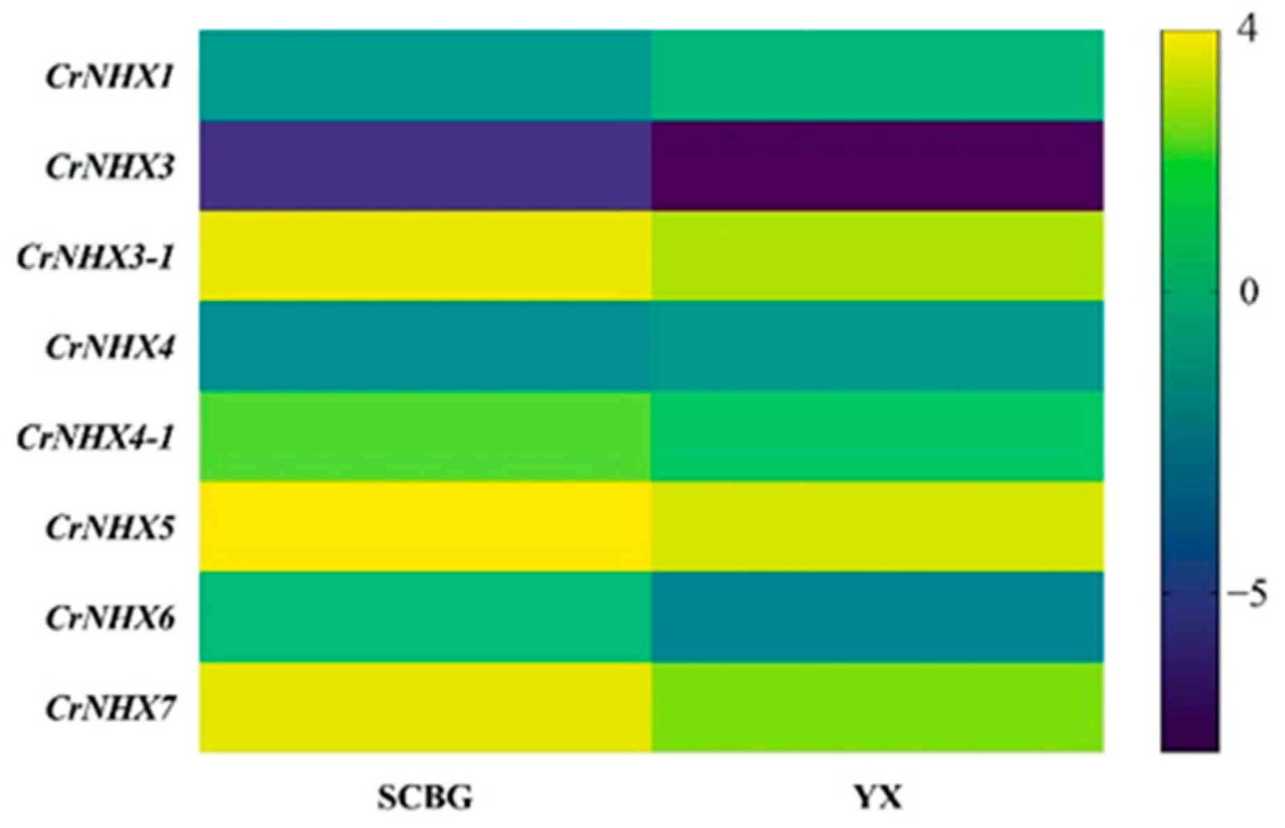 Genes 13 00033 g006 550