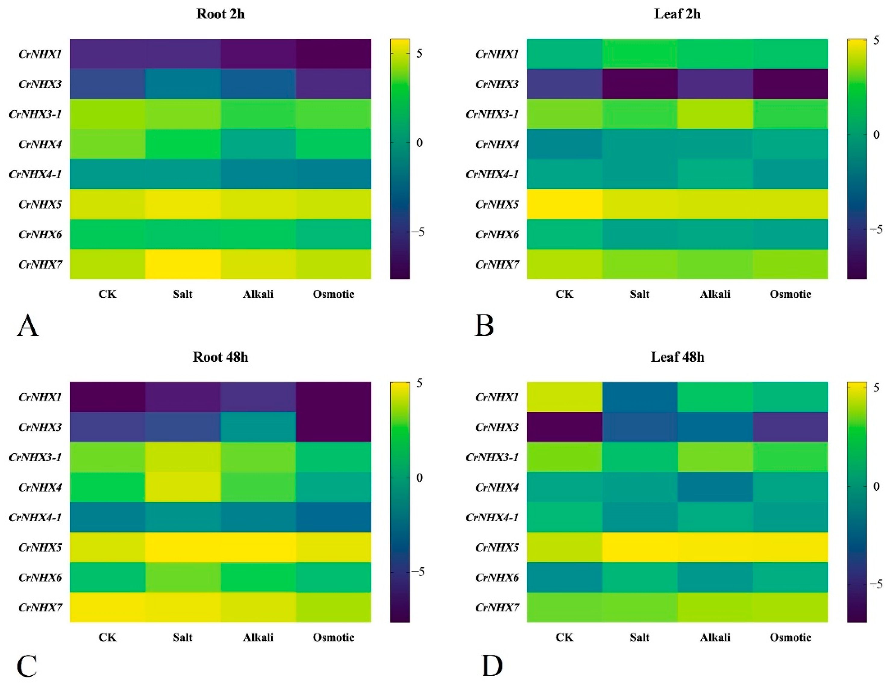 Genes 13 00033 g007 550