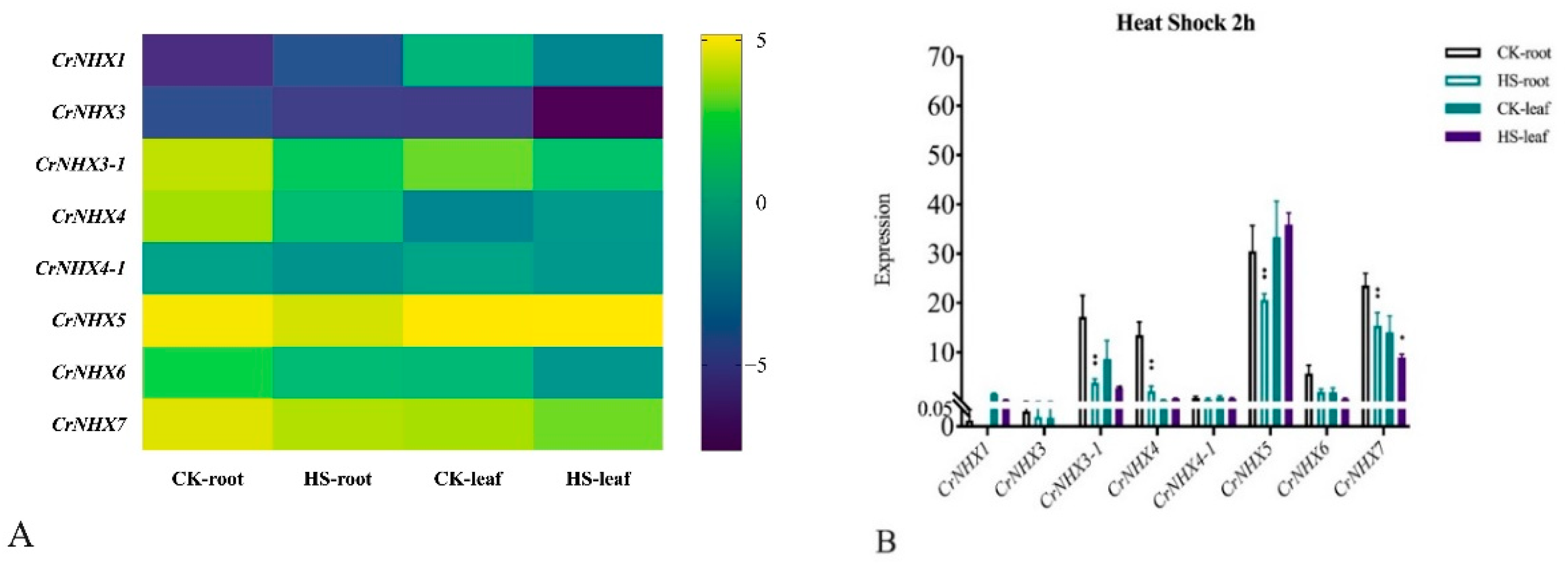 Genes 13 00033 g008 550