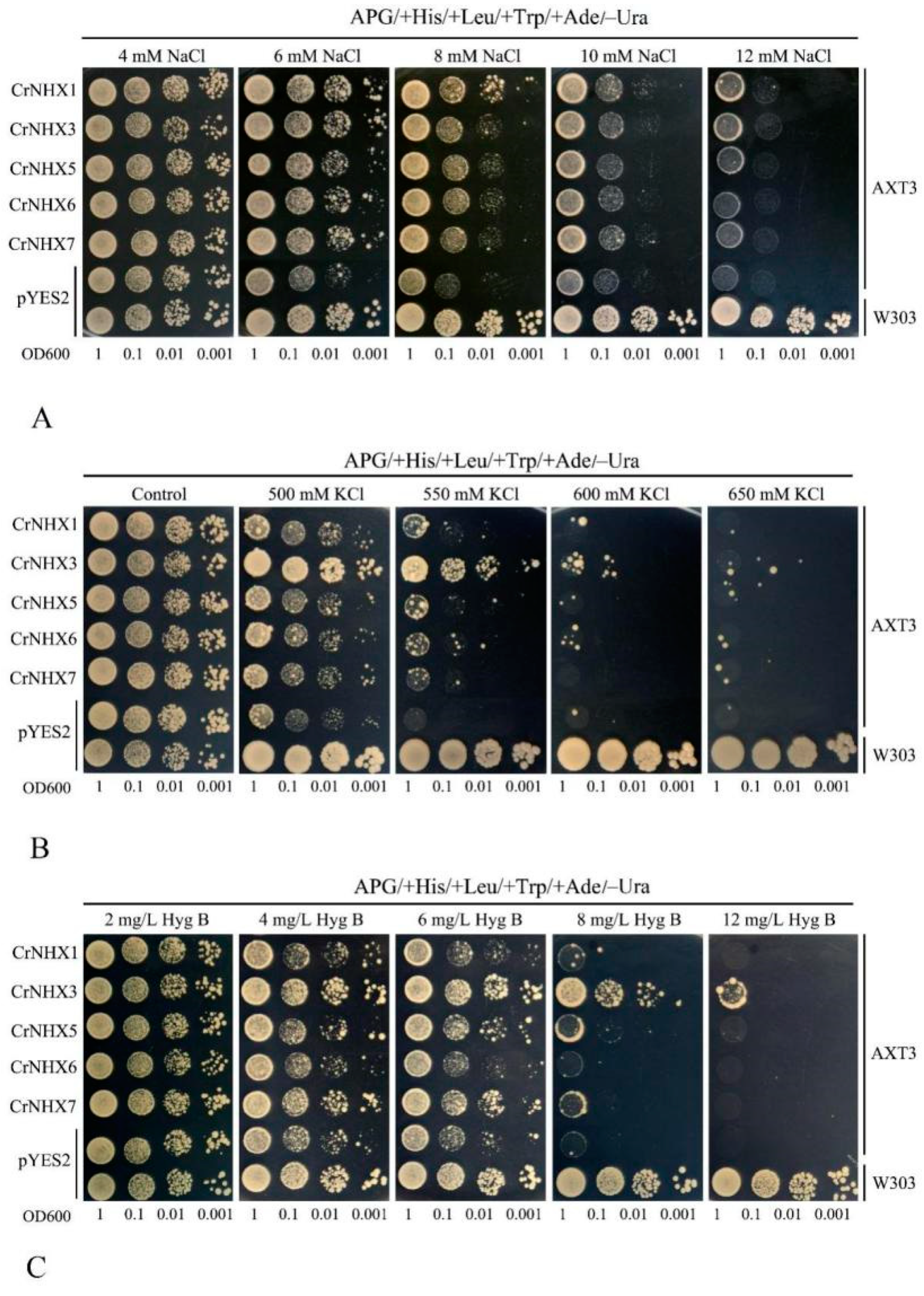 Genes 13 00033 g010 550
