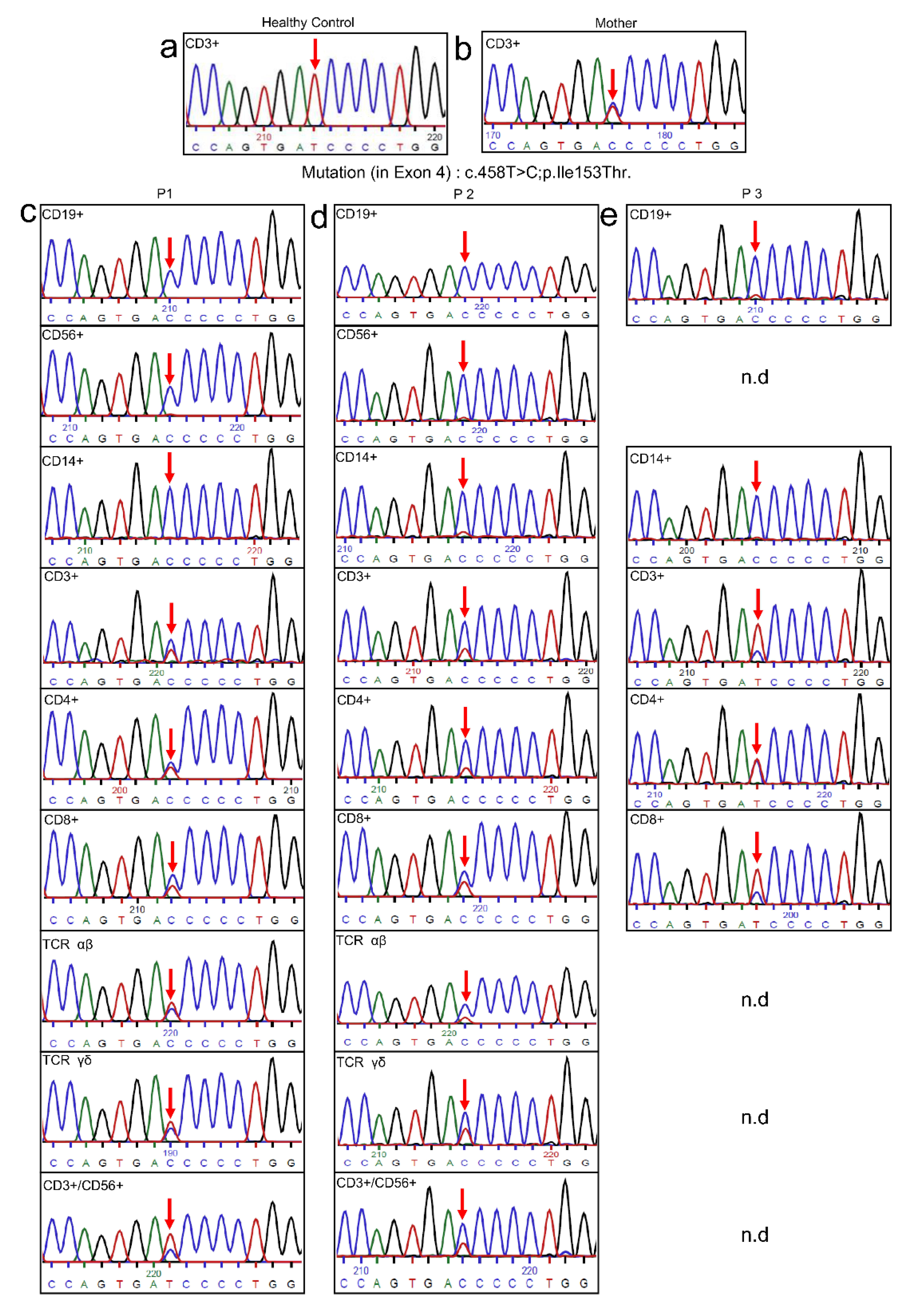 Genes 13 00035 g003 550