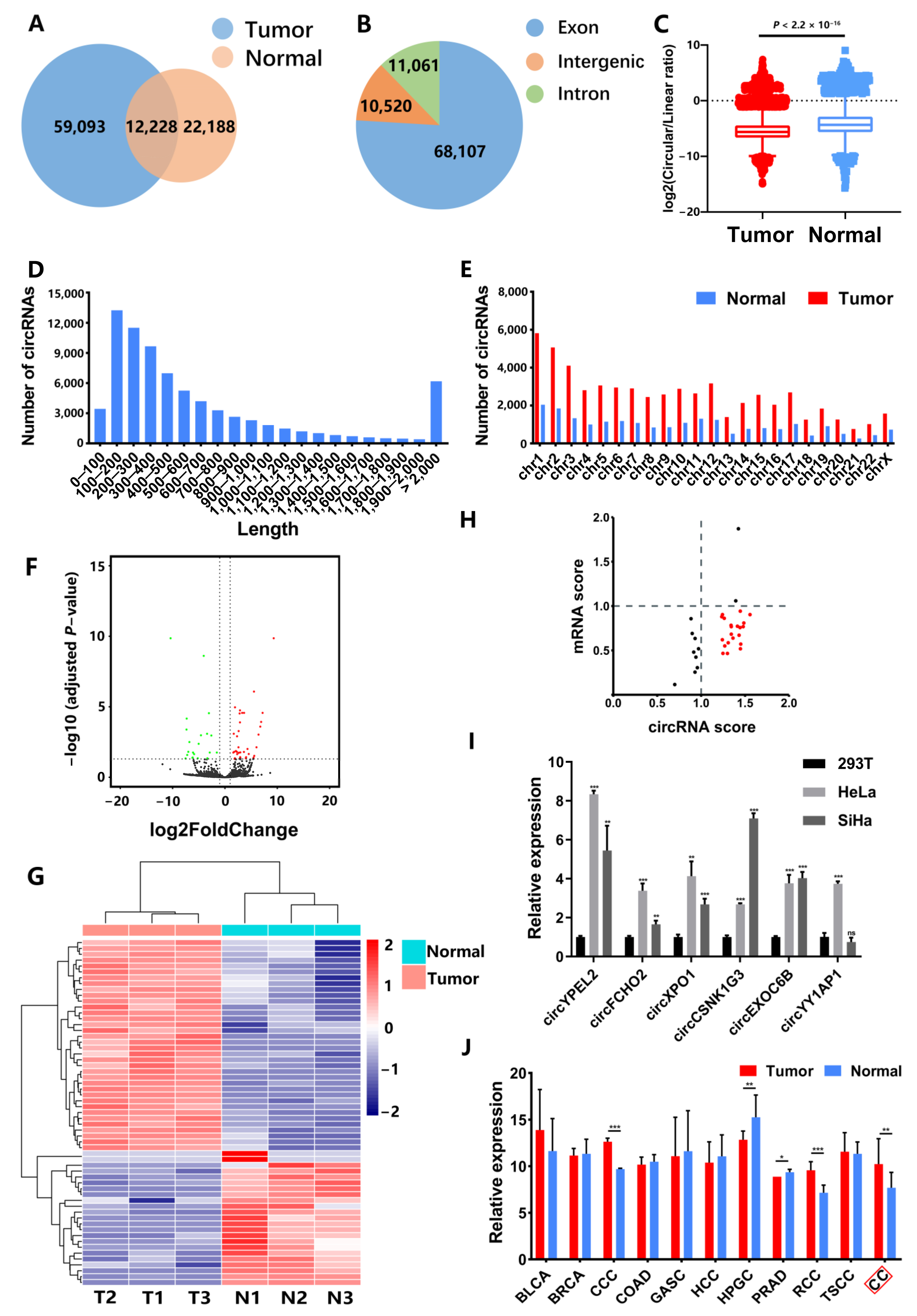Genes 13 00038 g001 550