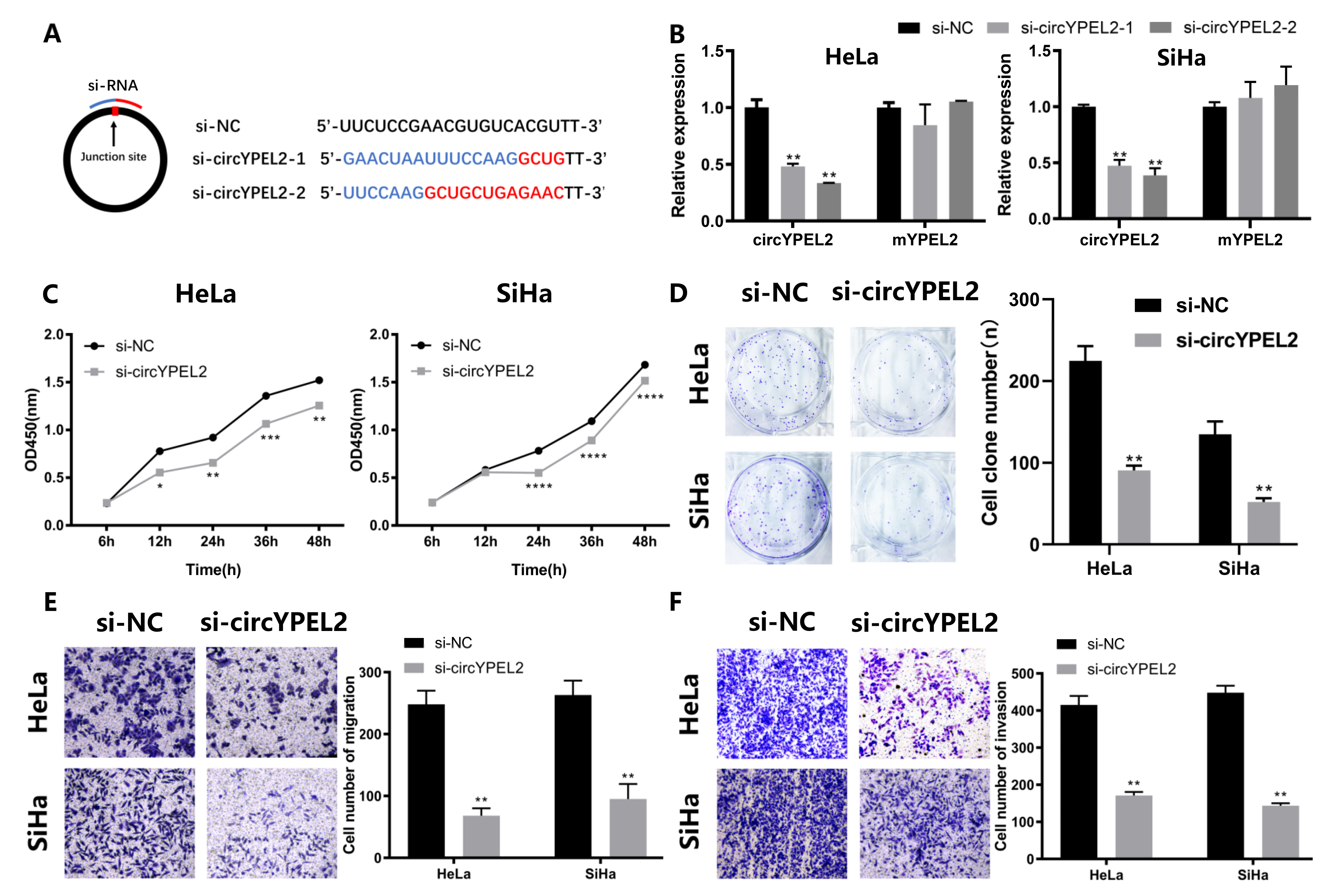 Genes 13 00038 g003 550