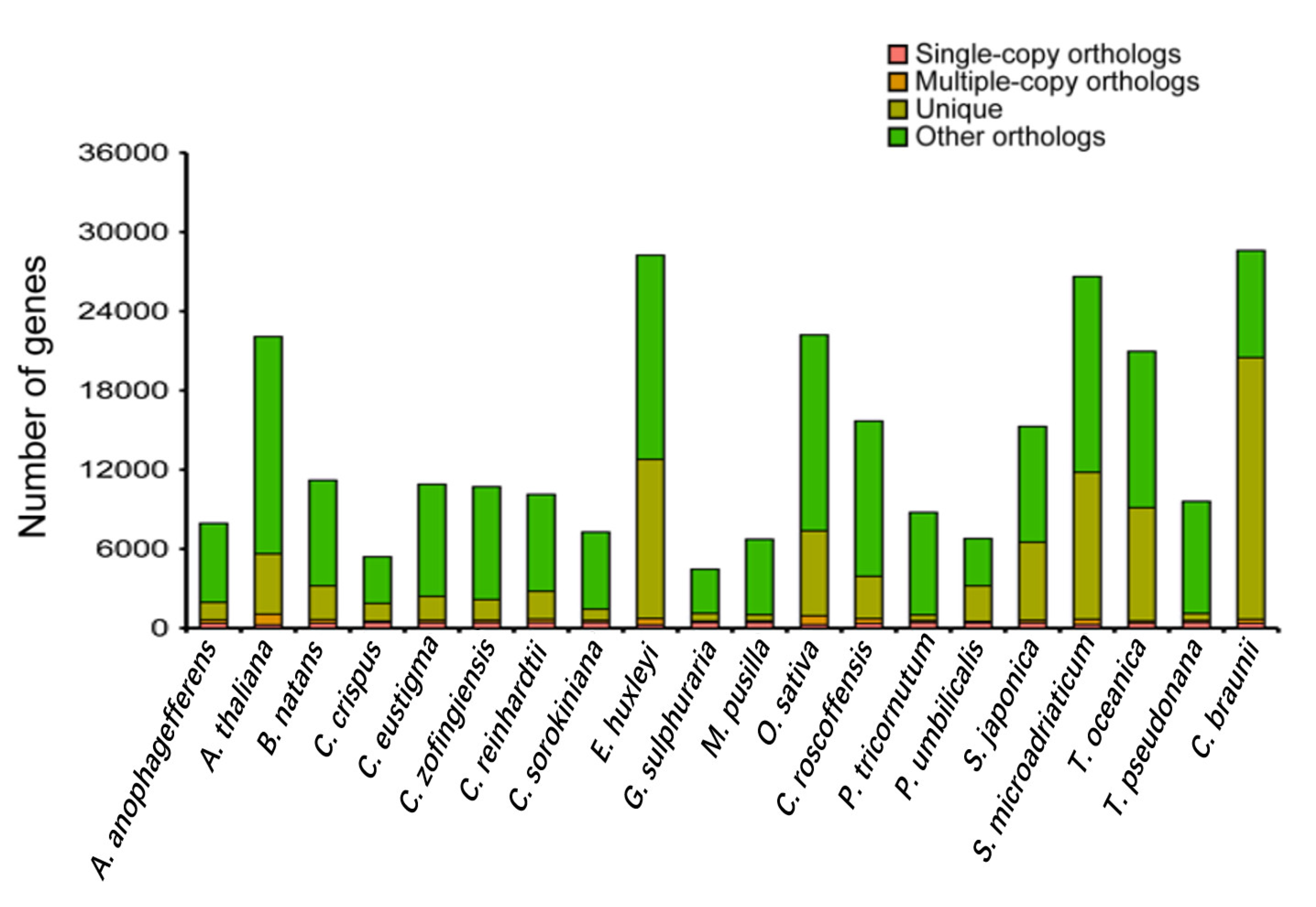 Genes 13 00040 g003